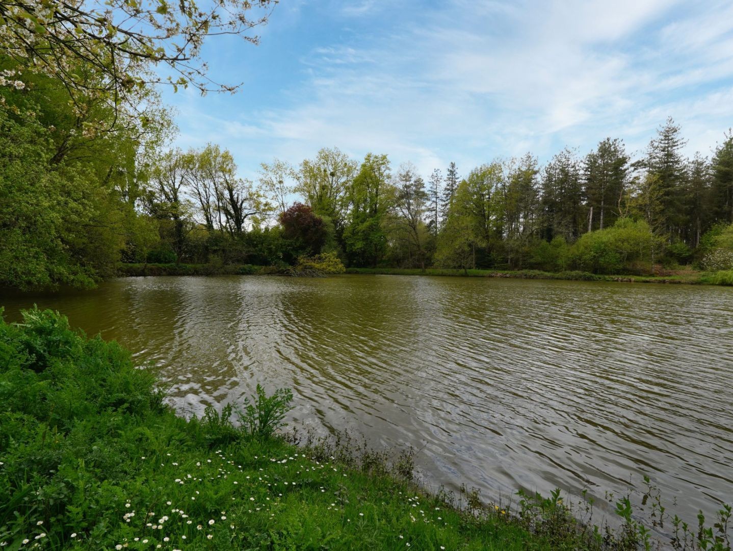 Vente Terrain à Ploërmel 4 pièces