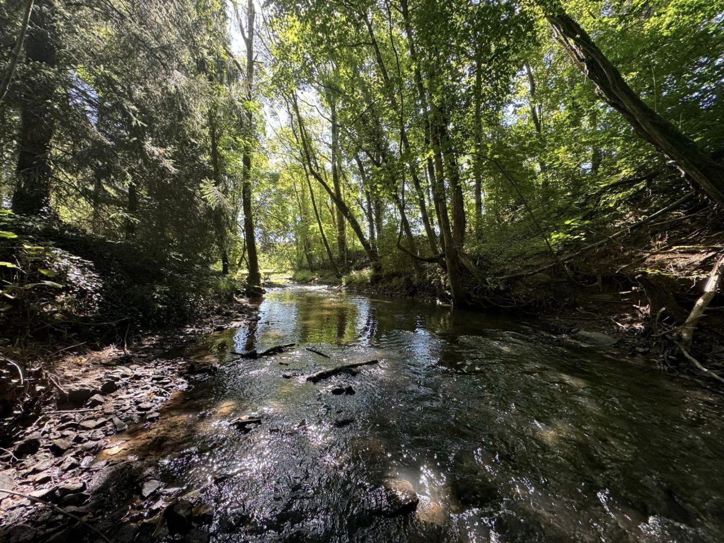 Vente Maison à Saint-Laurent-sur-Gorre 13 pièces