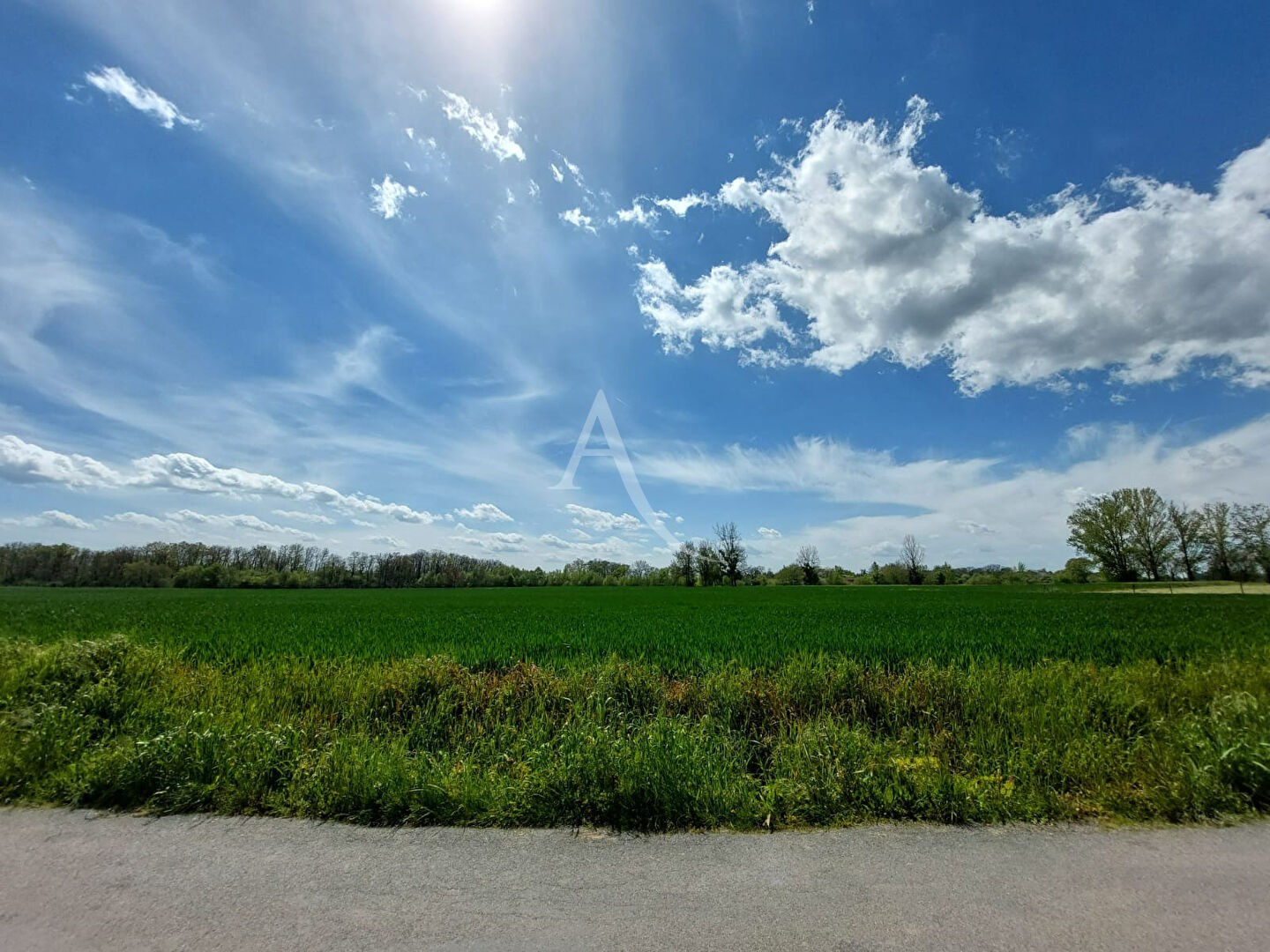 Vente Terrain à Brens 0 pièce