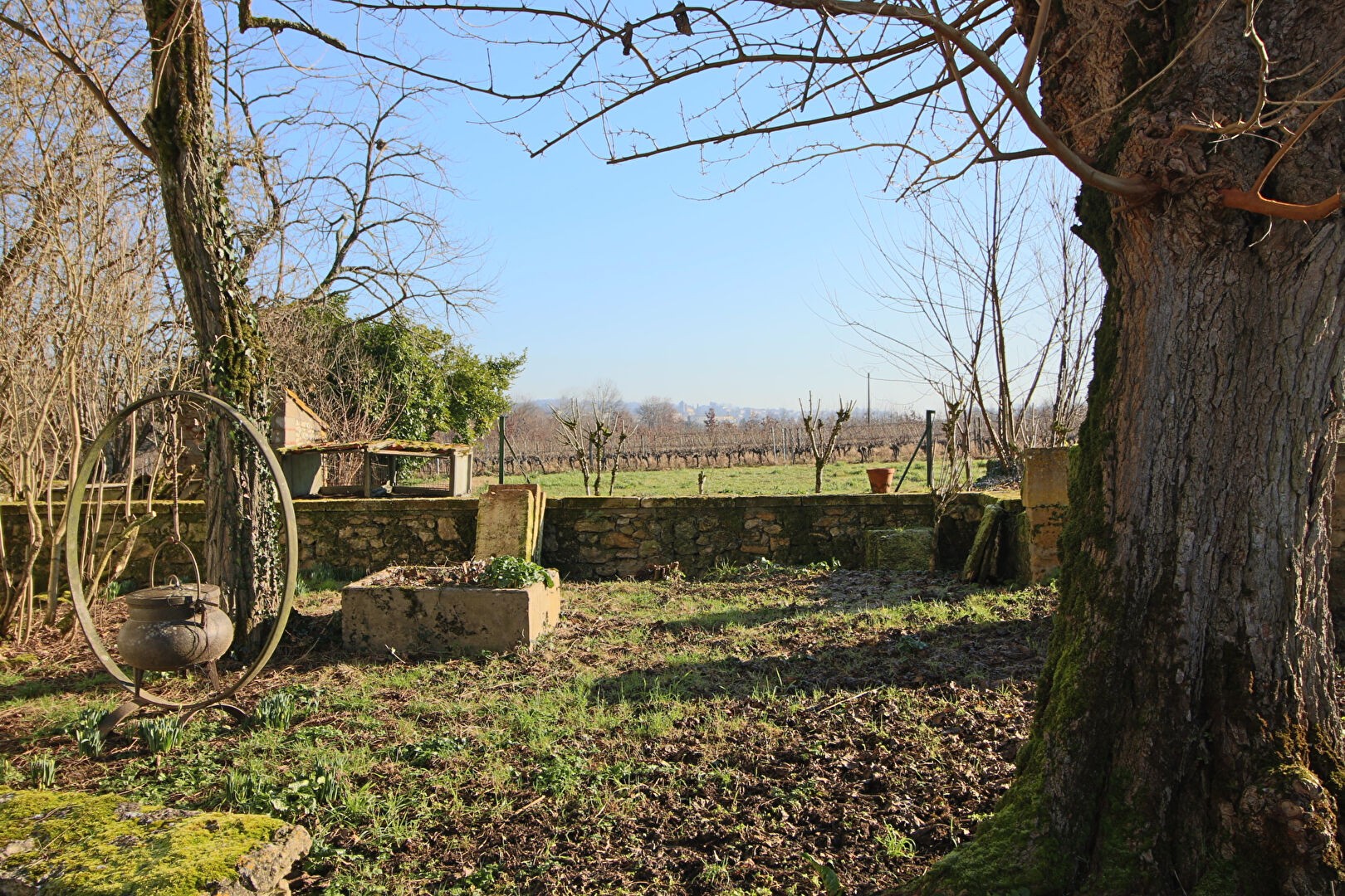 Vente Maison à Puy-l'Évêque 15 pièces