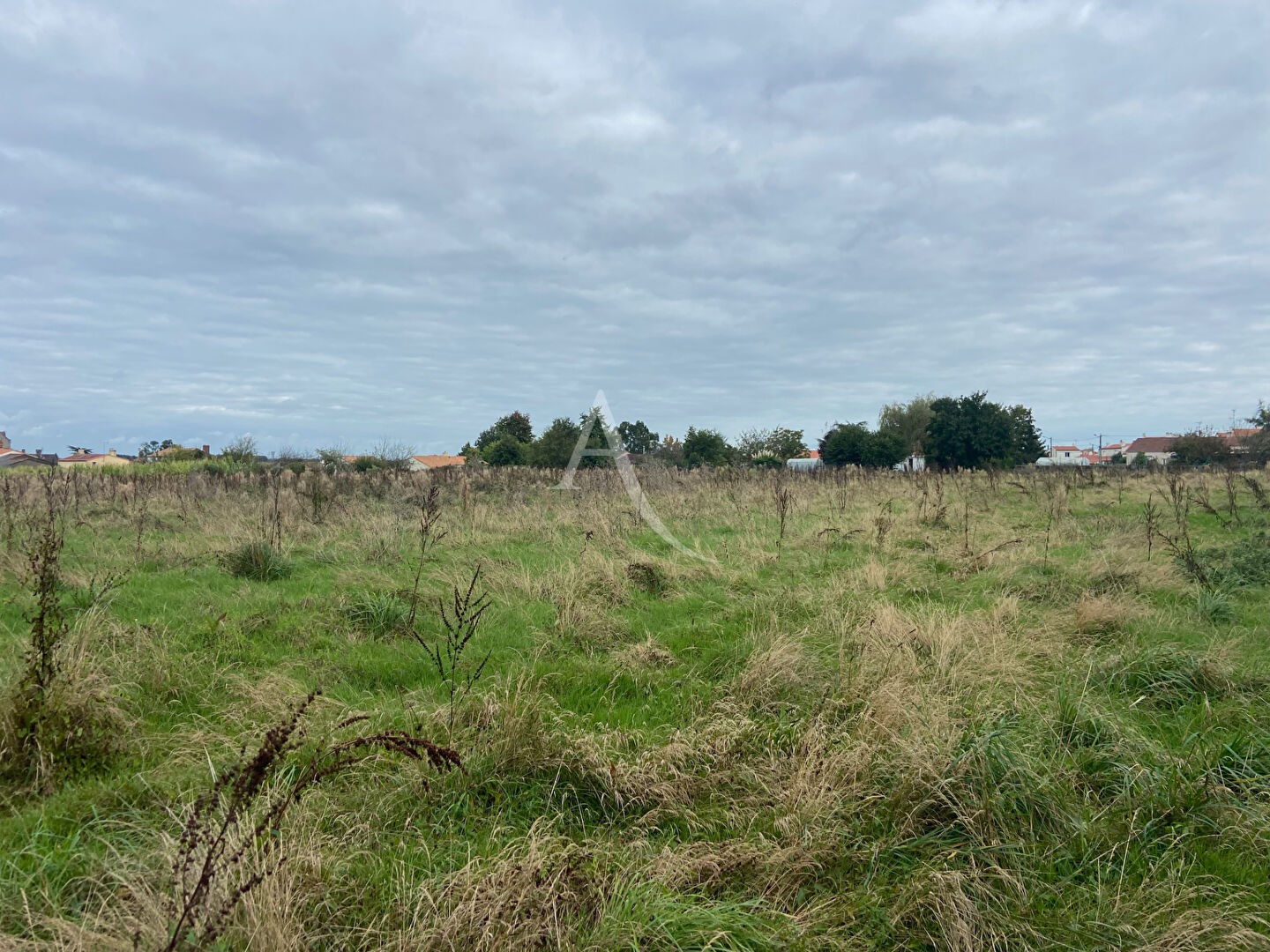 Vente Terrain à Chavagnes-en-Paillers 0 pièce