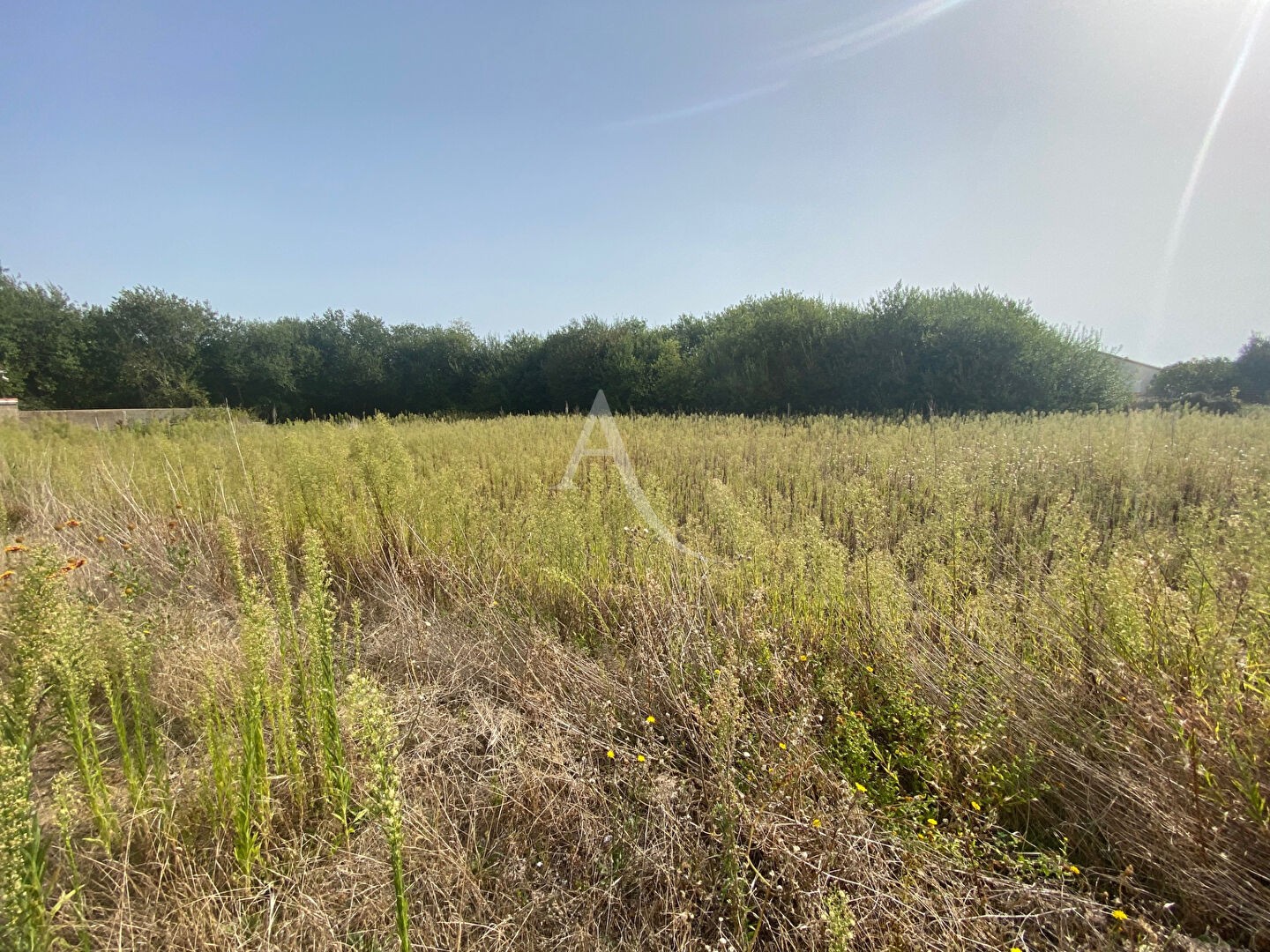 Vente Terrain à la Tranche-sur-Mer 0 pièce