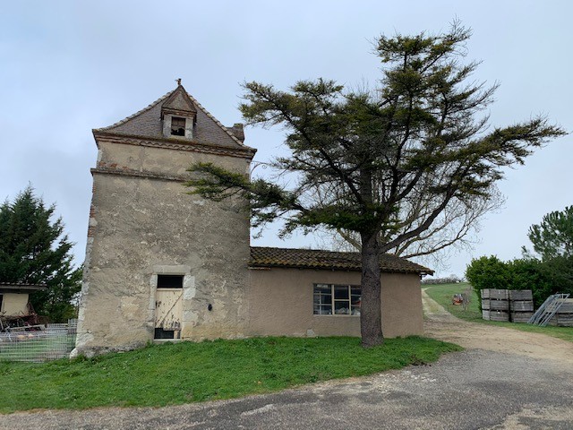 Vente Maison à Saint-Vincent-Lespinasse 18 pièces