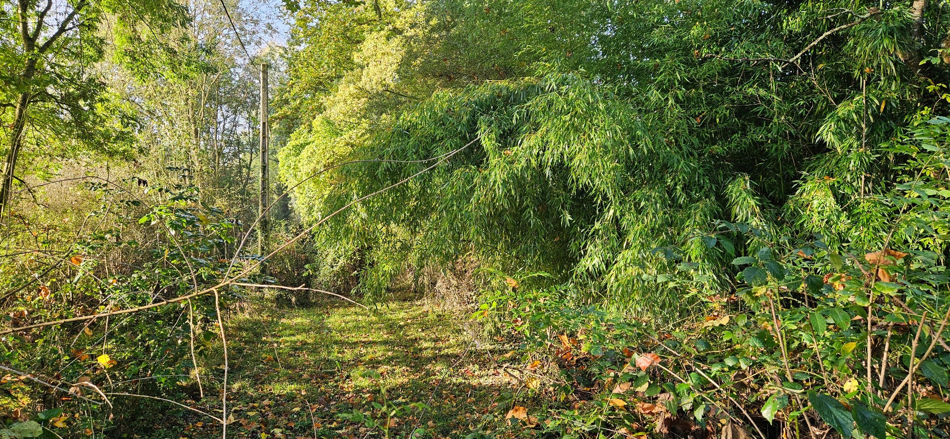 Vente Maison à Bonneval 5 pièces