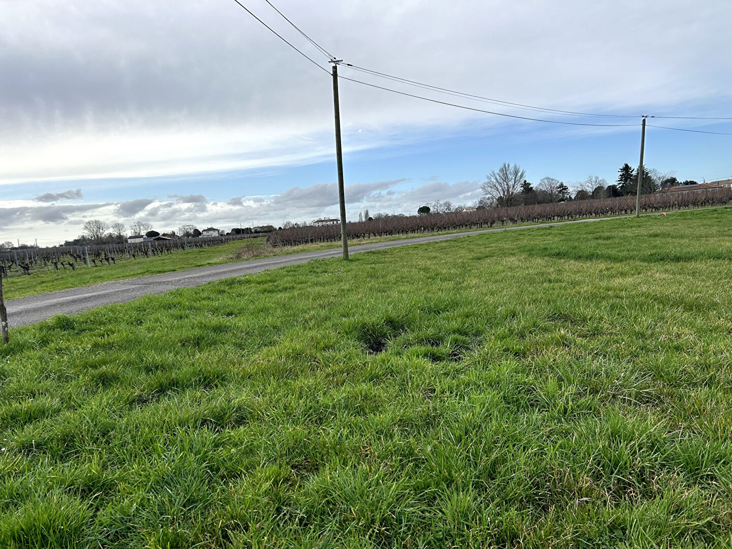 Vente Terrain à Blaye 0 pièce