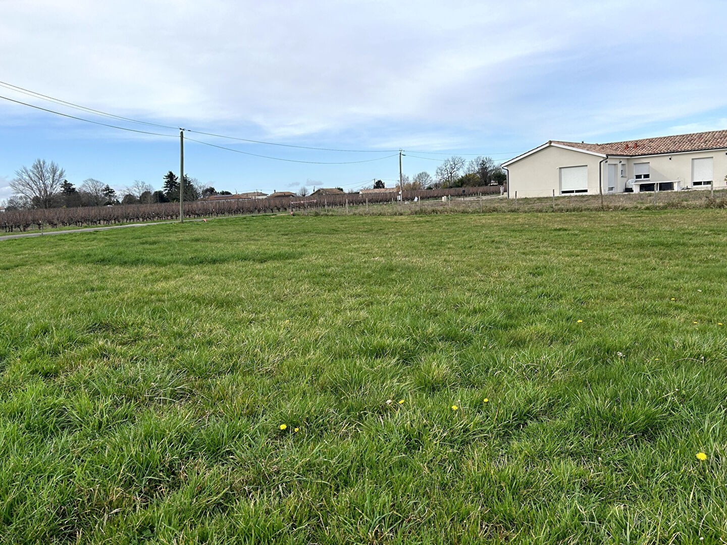 Vente Terrain à Blaye 0 pièce