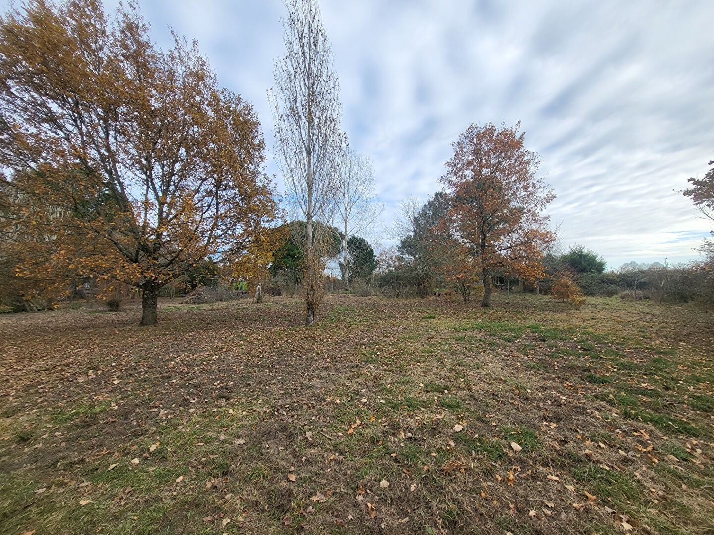 Vente Terrain à Blaye 0 pièce