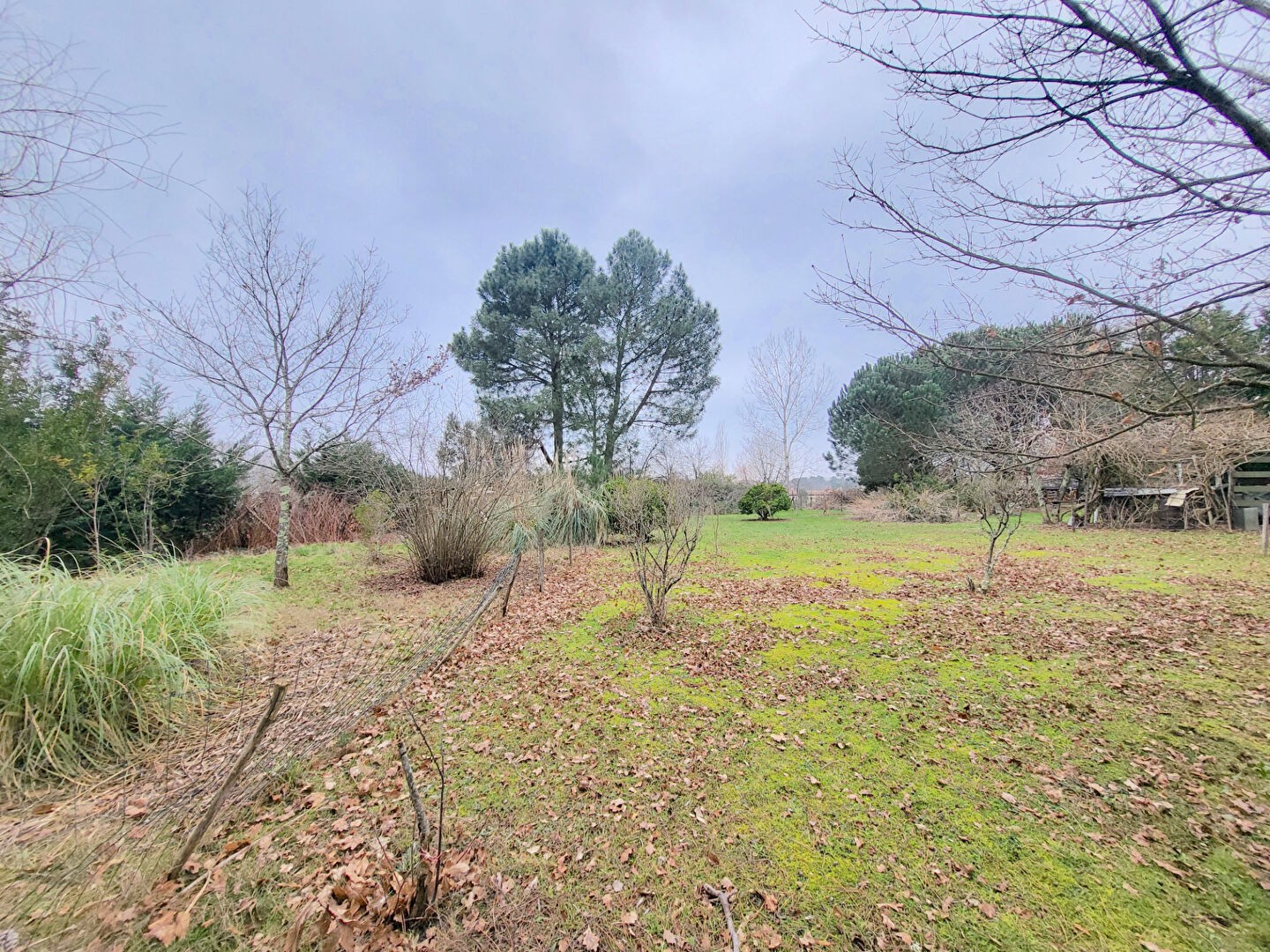 Vente Terrain à Blaye 0 pièce