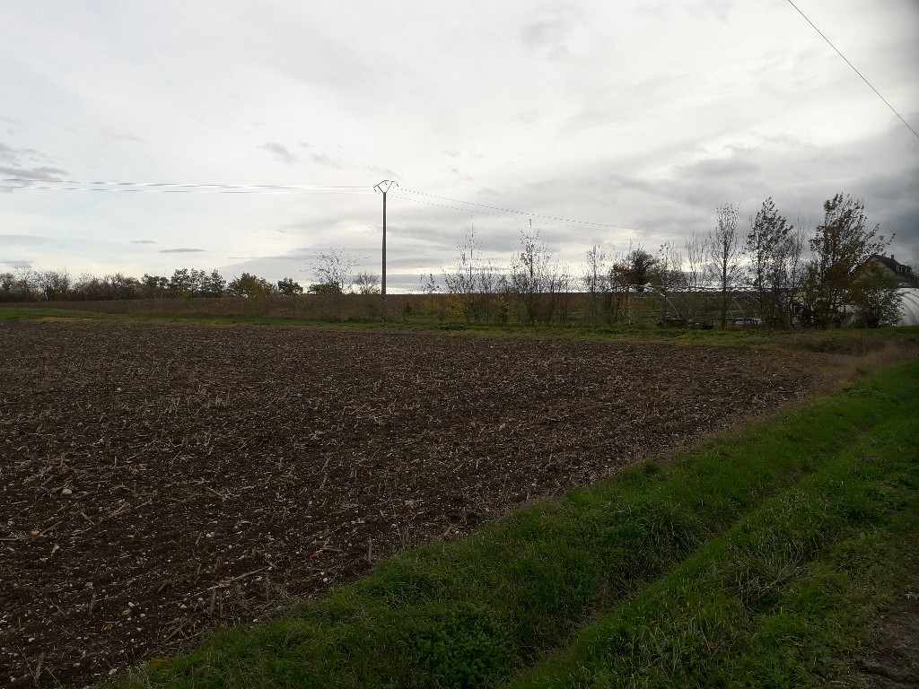 Vente Terrain à Saint-Pourçain-sur-Sioule 0 pièce