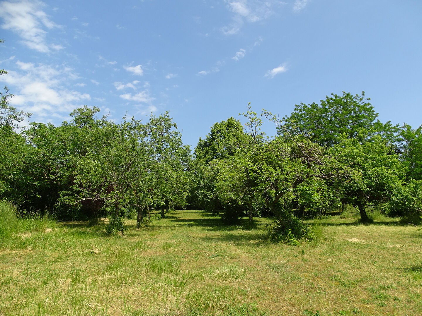 Vente Maison à Beaulieu-lès-Loches 10 pièces