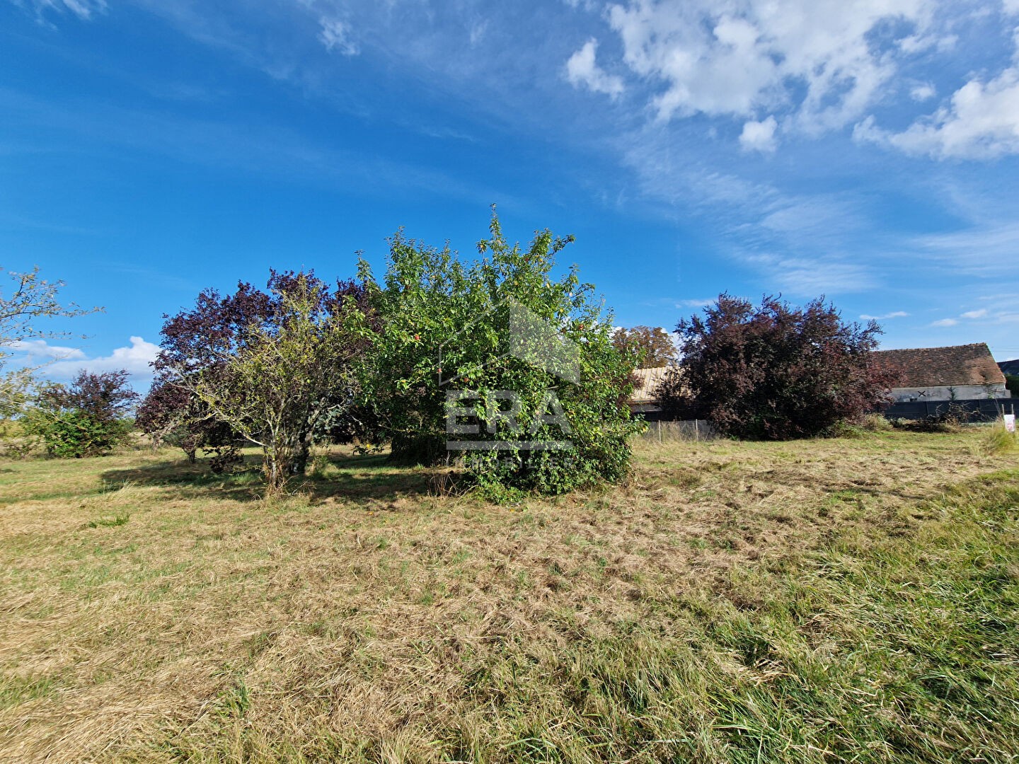 Vente Terrain à Athée-sur-Cher 0 pièce