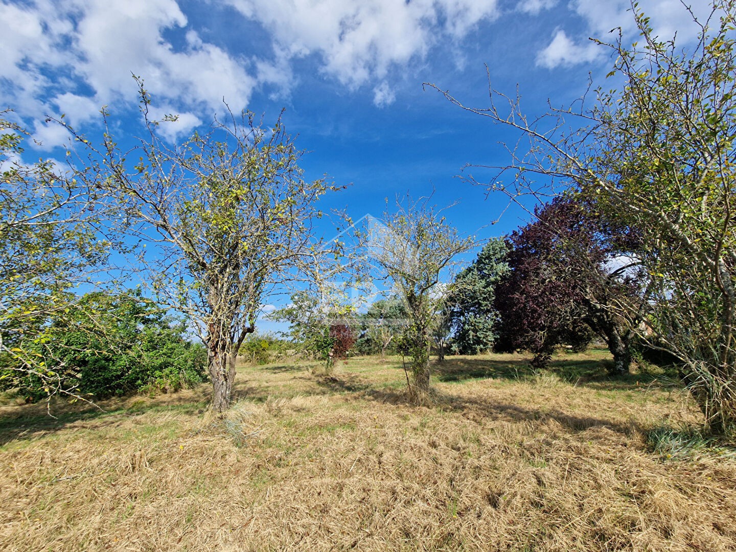 Vente Terrain à Athée-sur-Cher 0 pièce