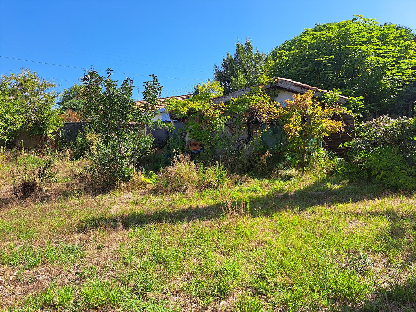 Vente Terrain à Andernos-les-Bains 0 pièce