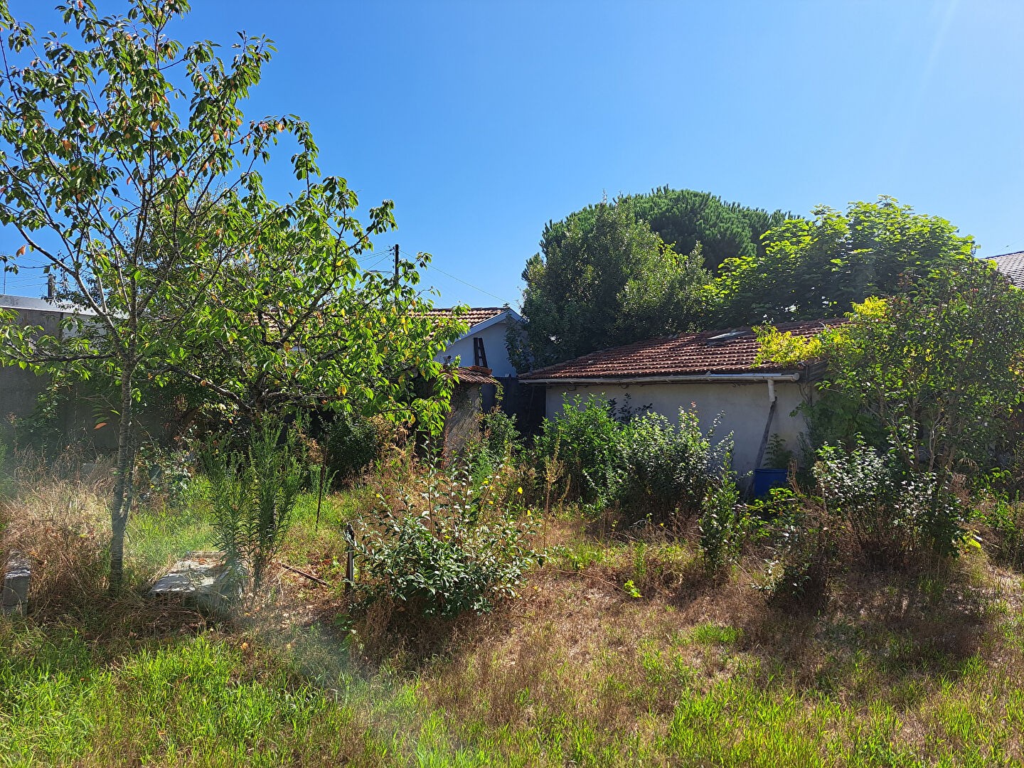 Vente Terrain à Andernos-les-Bains 0 pièce