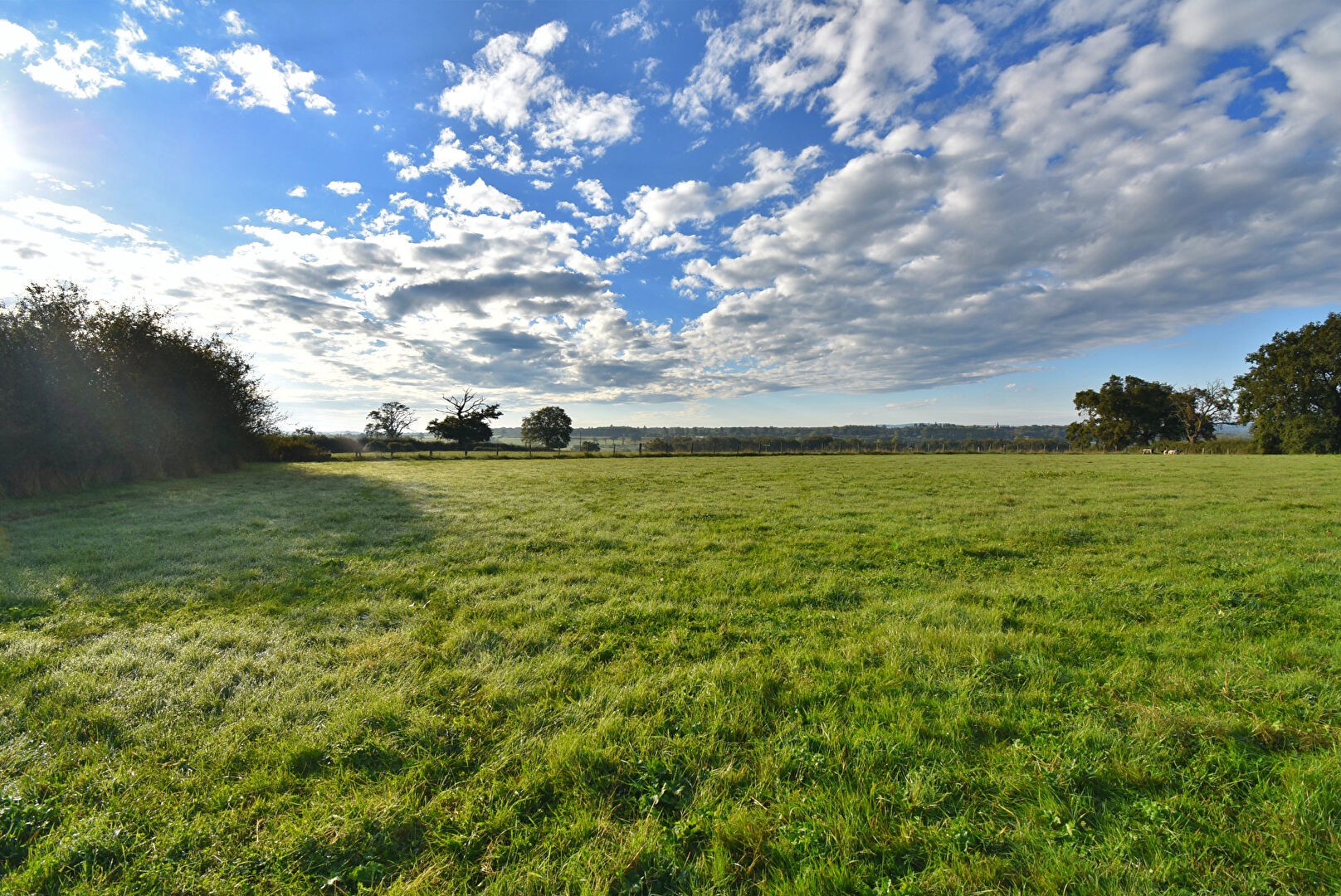 Vente Maison à Saint-Didier-en-Donjon 5 pièces