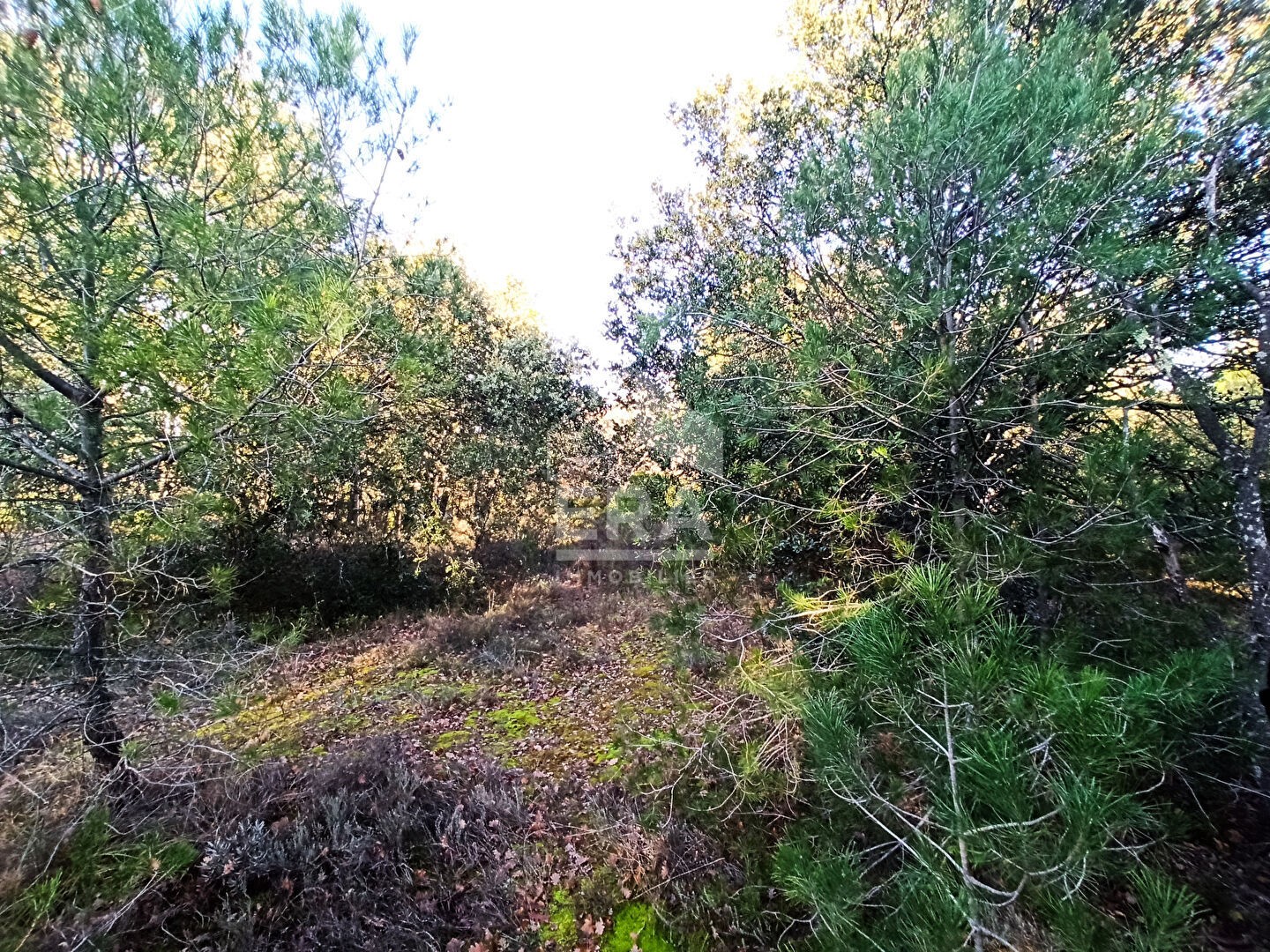 Vente Terrain à Carpentras 0 pièce