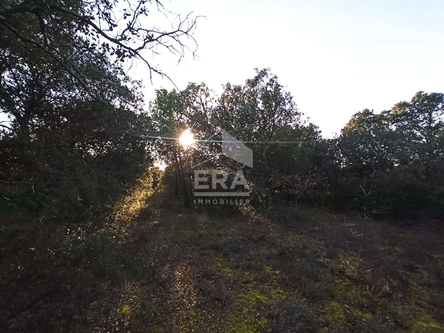 Vente Terrain à Carpentras 0 pièce