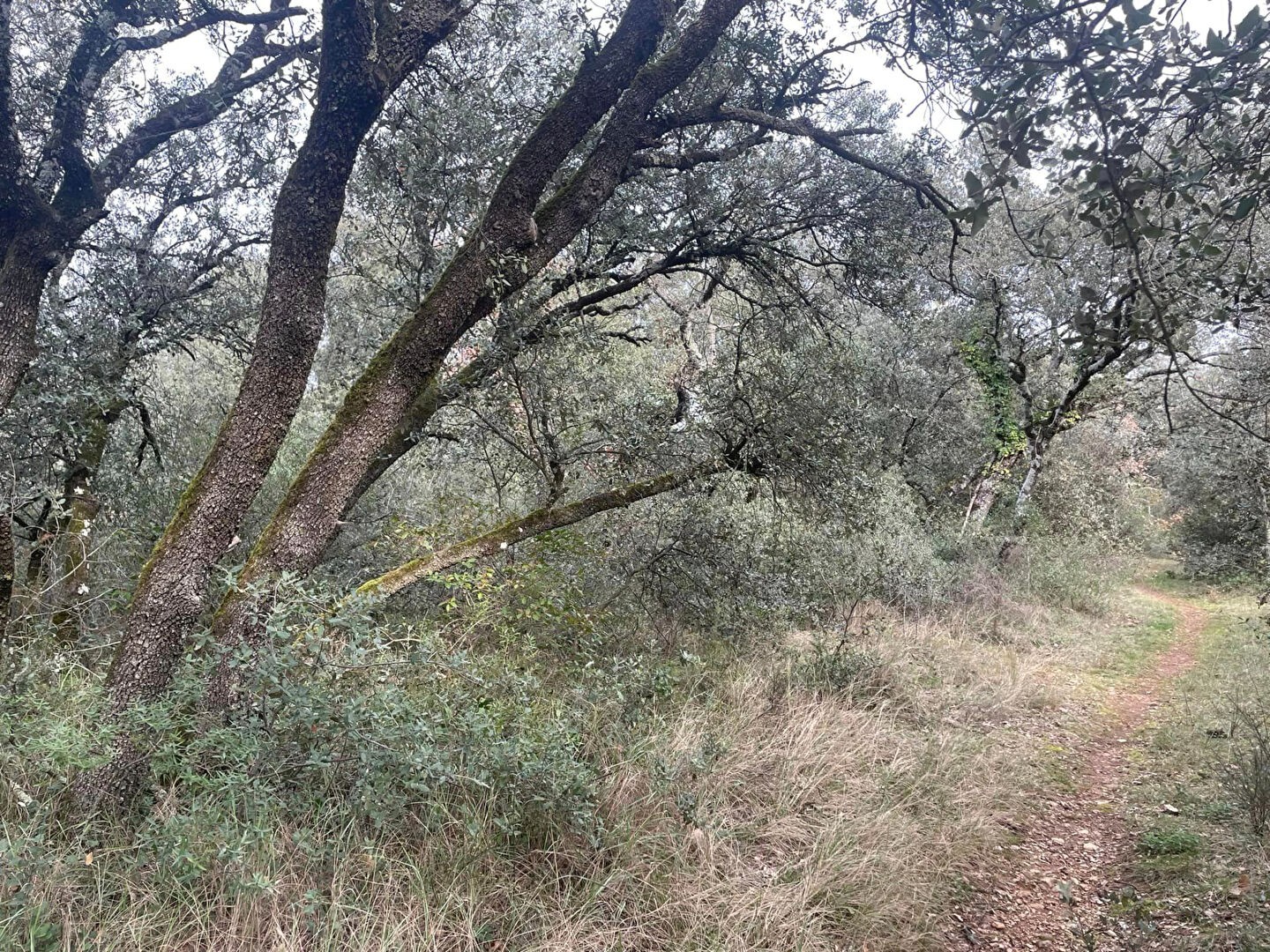 Vente Terrain à Mazan 0 pièce