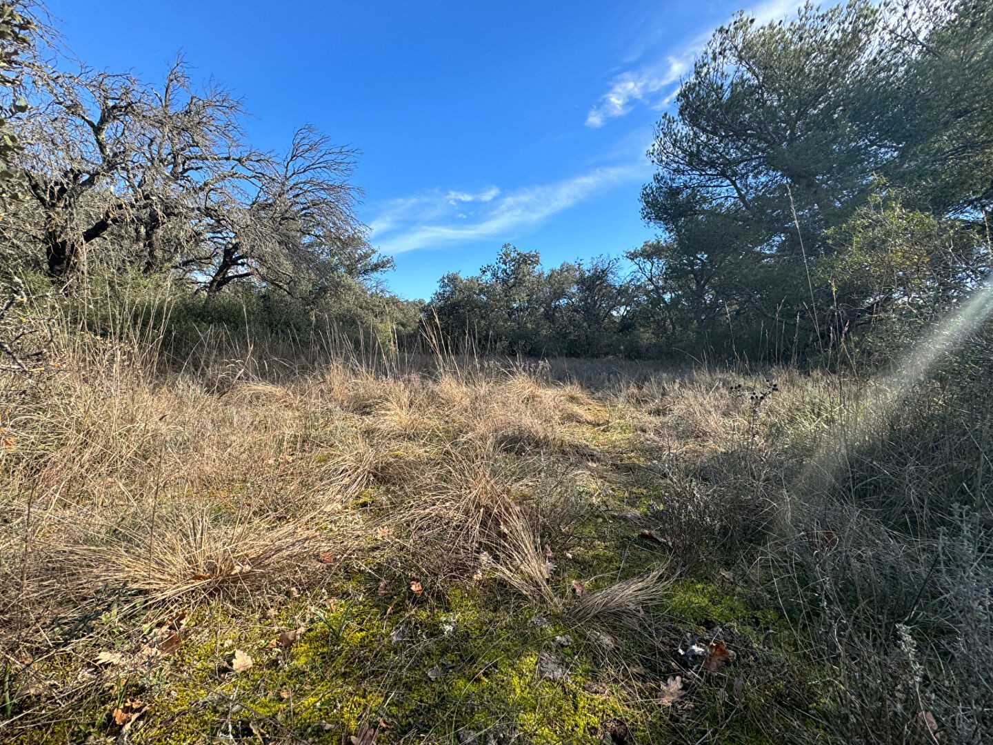 Vente Terrain à Mazan 0 pièce