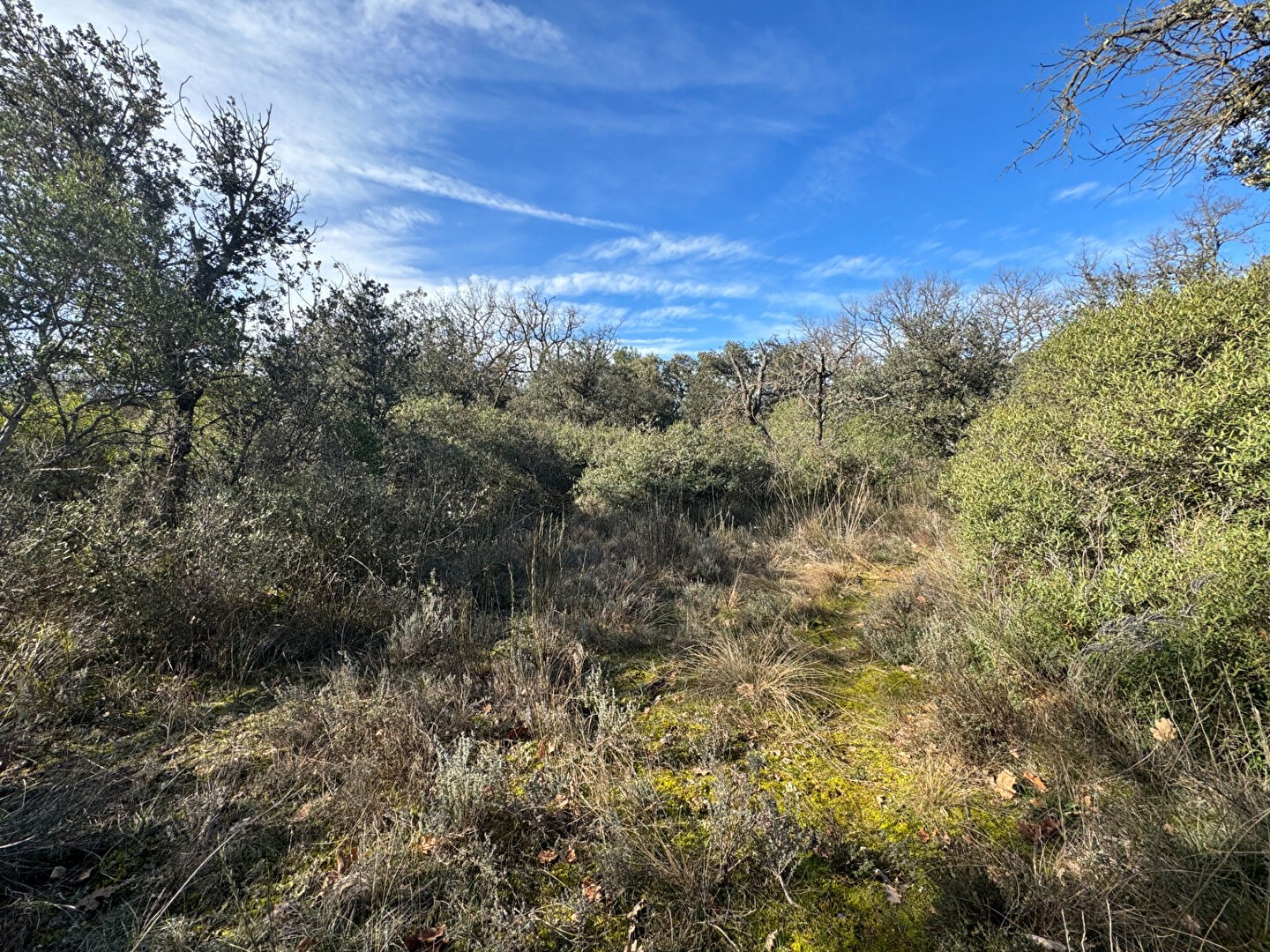 Vente Terrain à Mazan 0 pièce