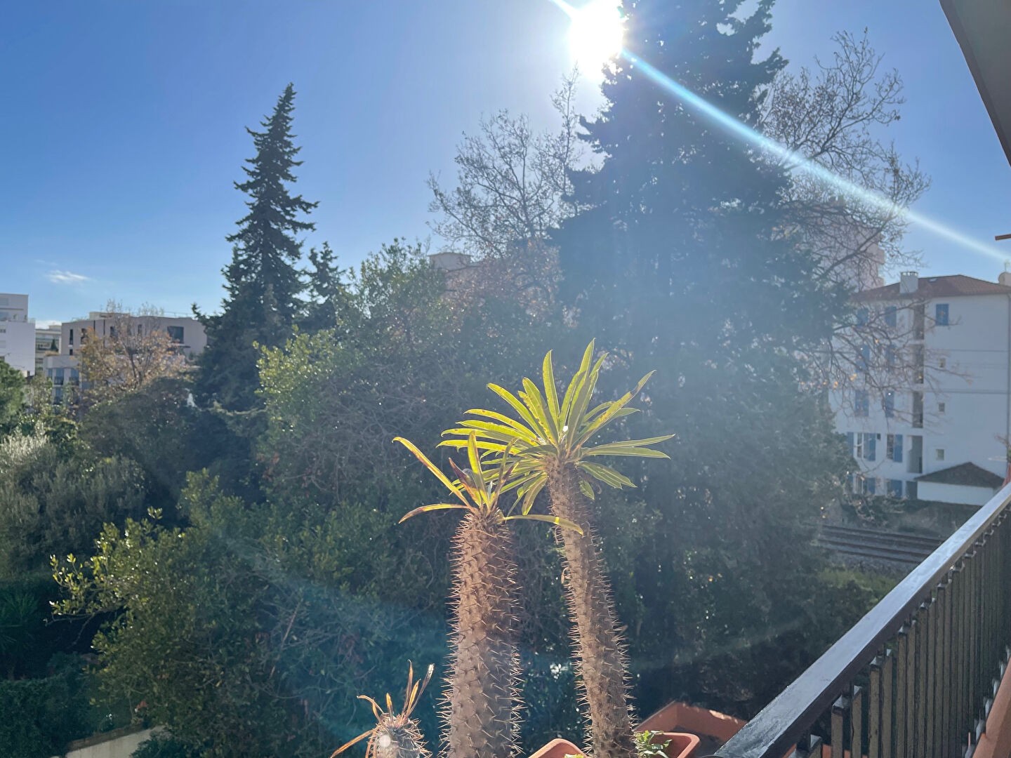 Vente Appartement à Antibes 2 pièces