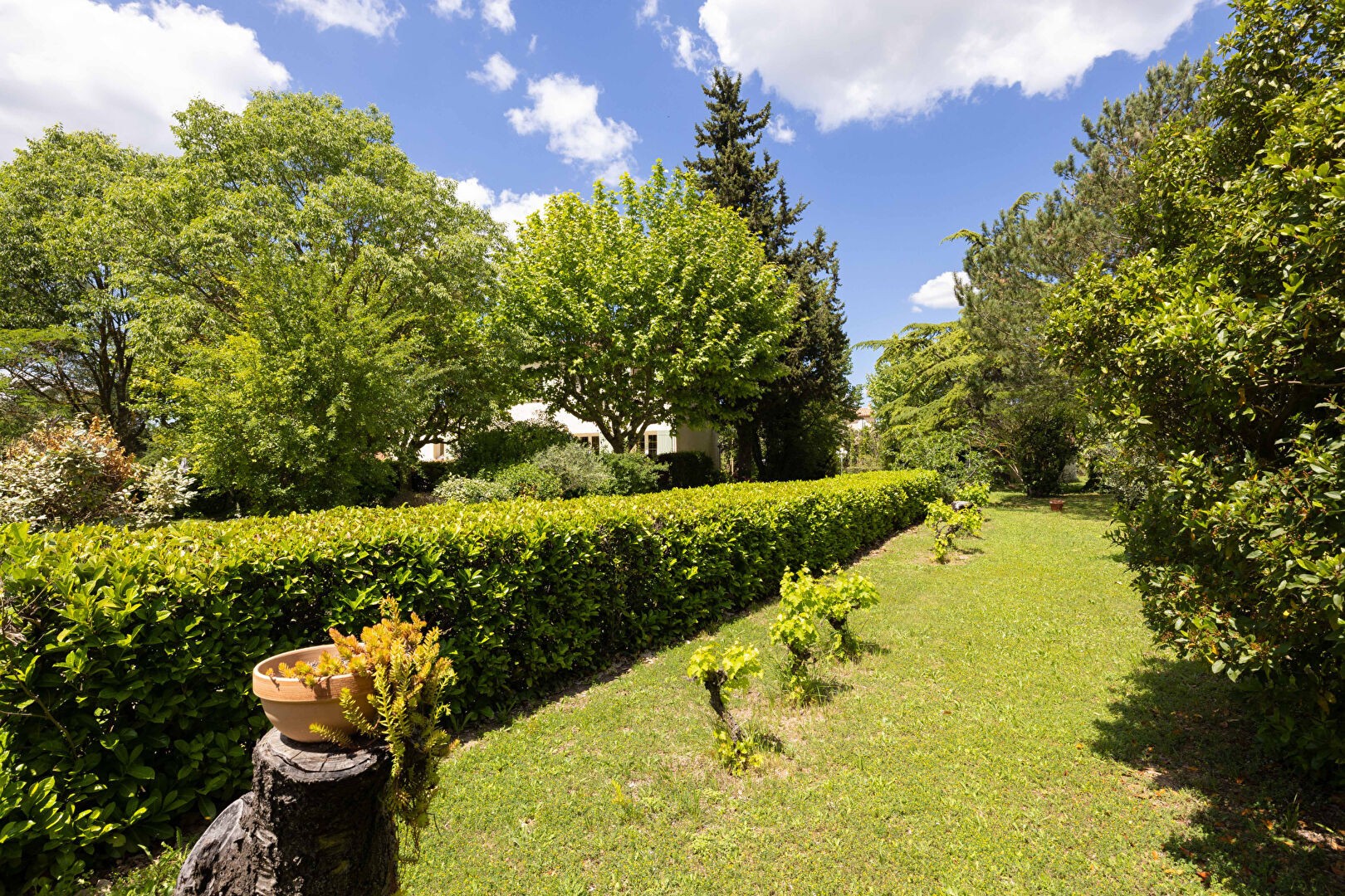 Vente Maison à Aix-en-Provence 7 pièces