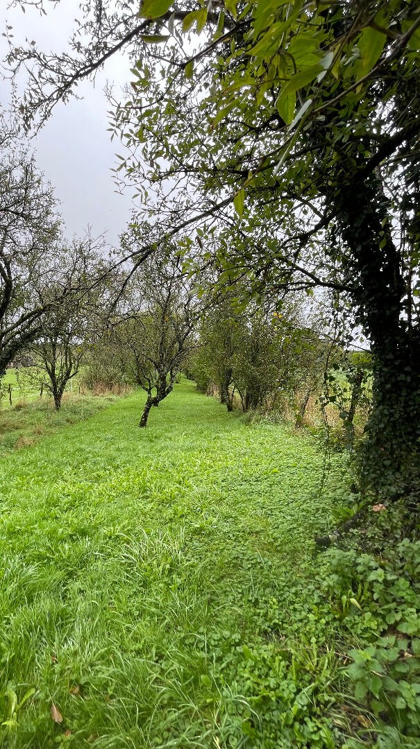 Vente Maison à Loisey-Culey 5 pièces