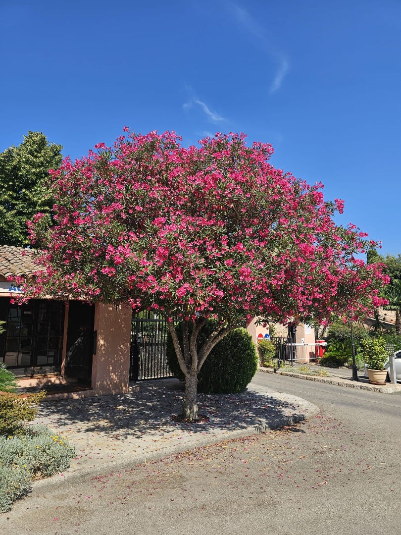 Vente Maison à Grasse 2 pièces