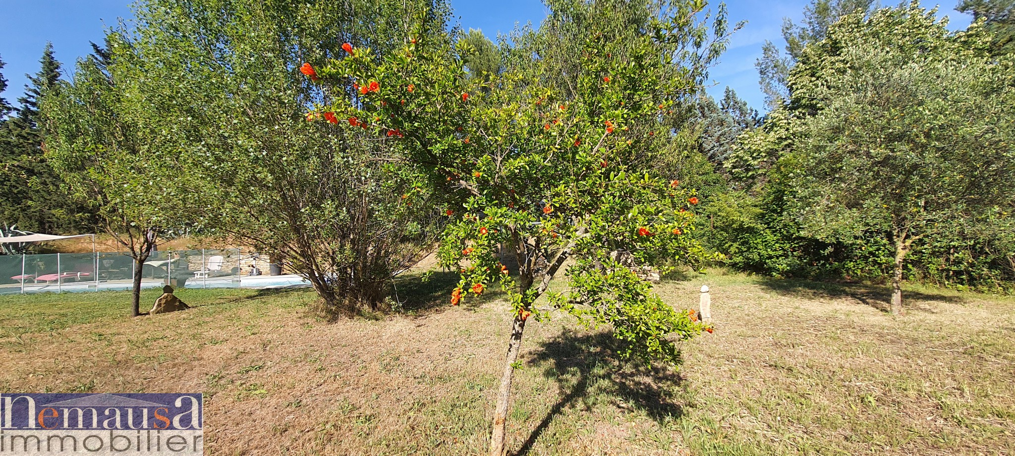 Vente Maison à Nîmes 6 pièces