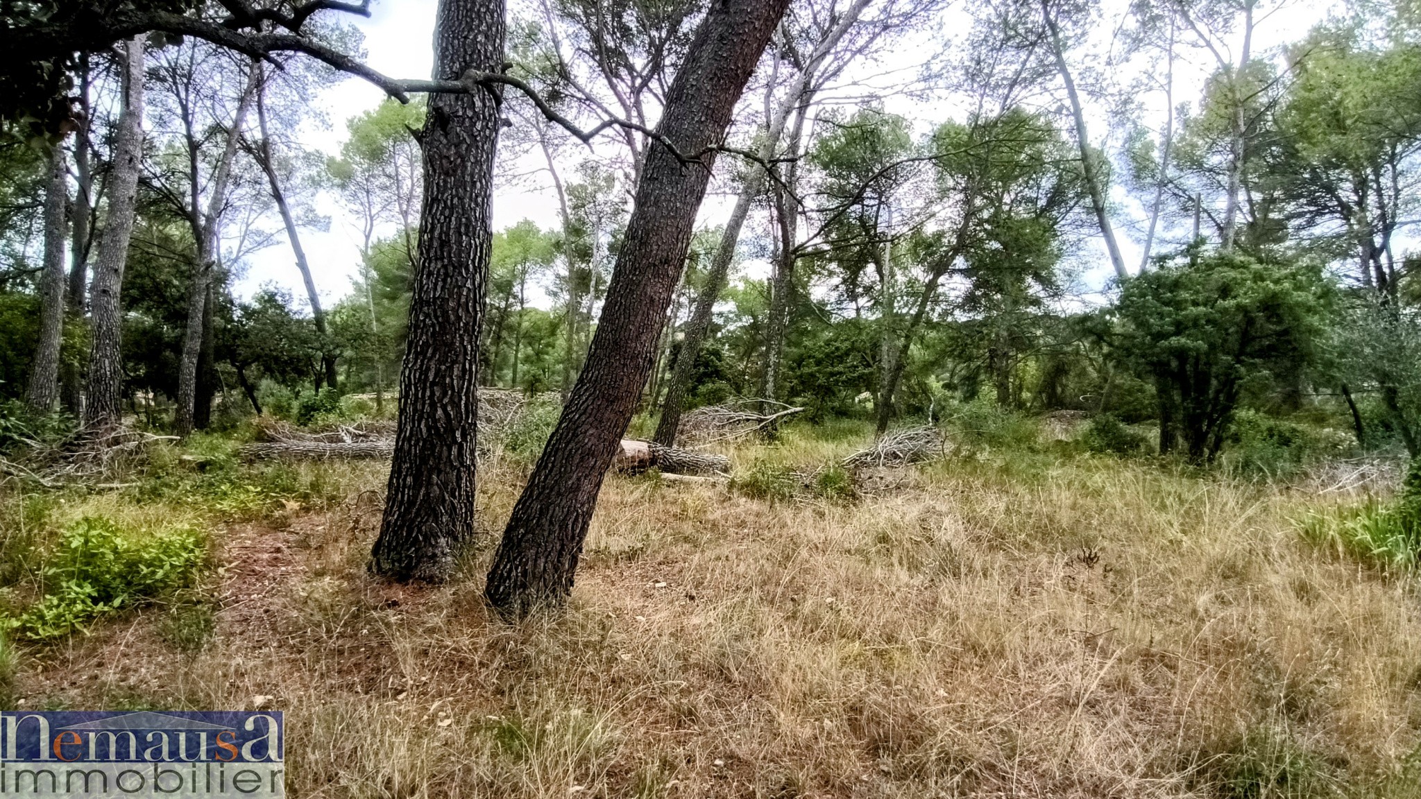 Vente Maison à Nîmes 2 pièces