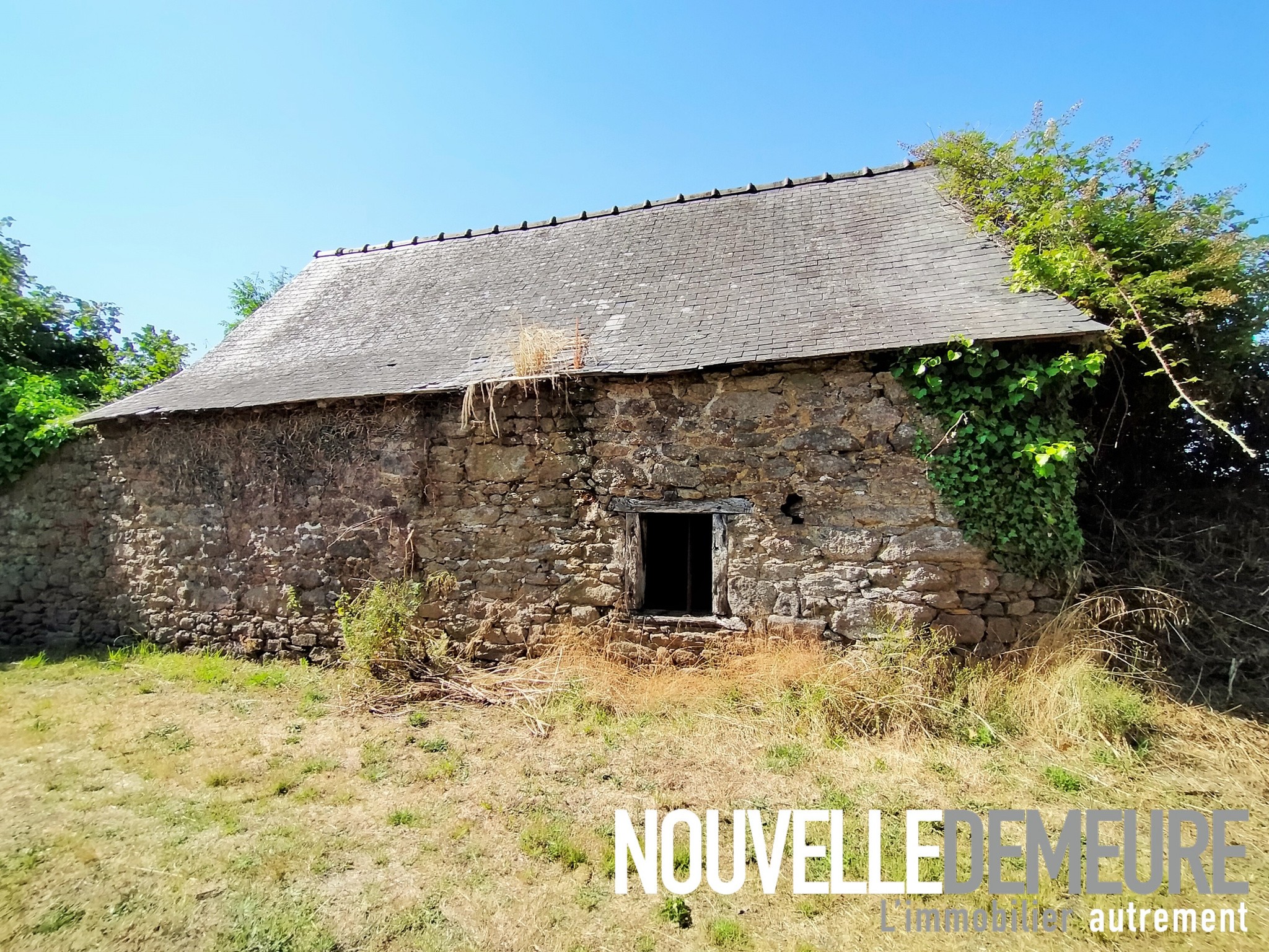 Vente Maison à Saint-Pierre-de-Plesguen 1 pièce