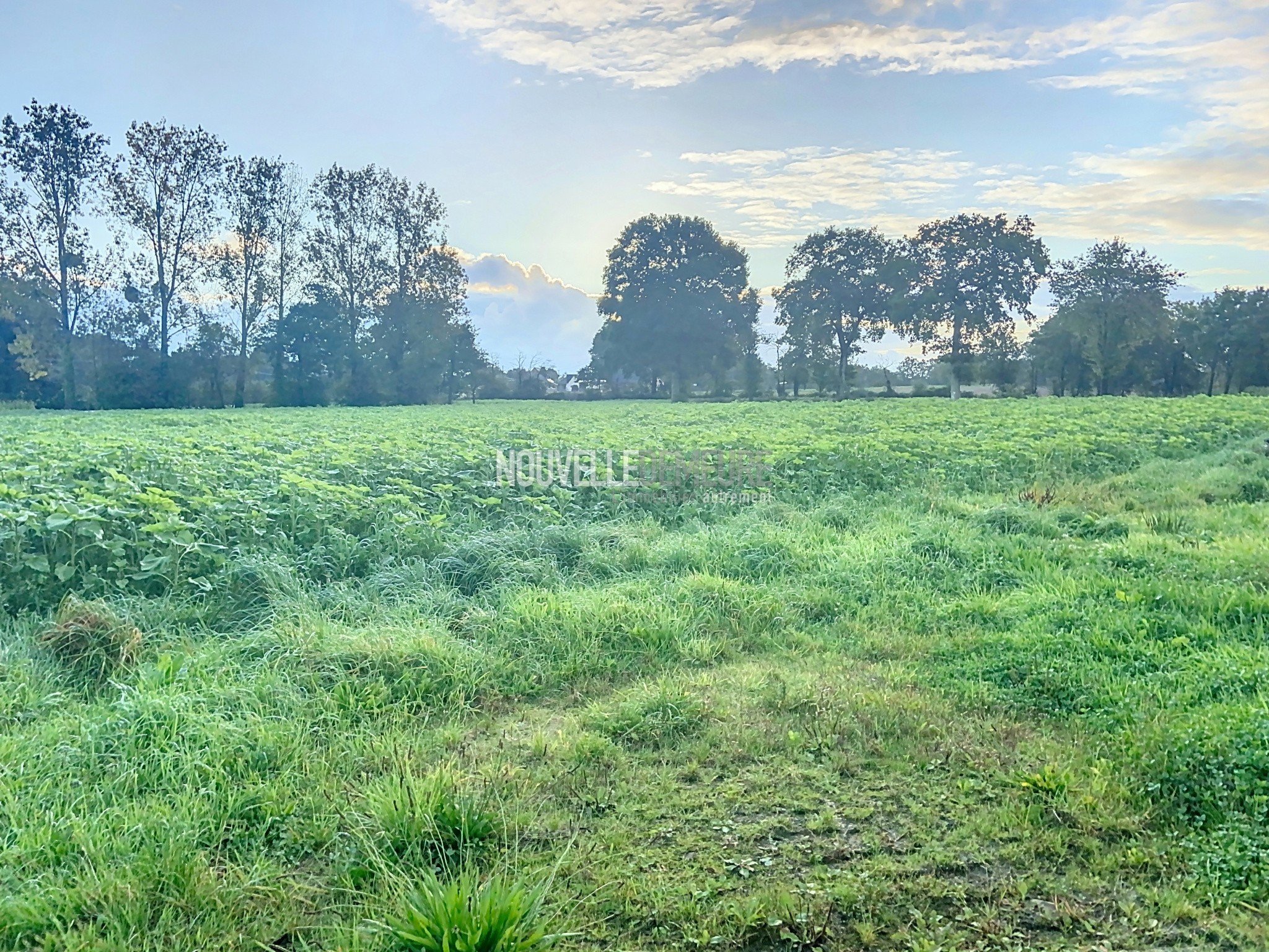 Vente Maison à Saint-Marc-le-Blanc 4 pièces