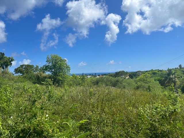 Vente Terrain à Saint-François 0 pièce