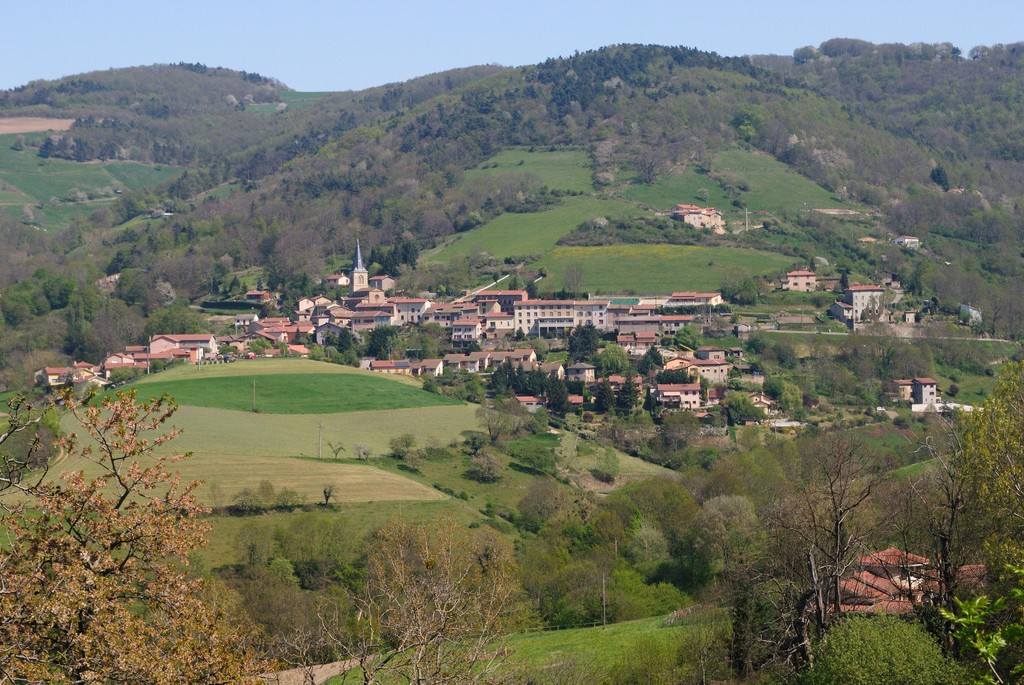 Vente Maison à Tassin-la-Demi-Lune 3 pièces