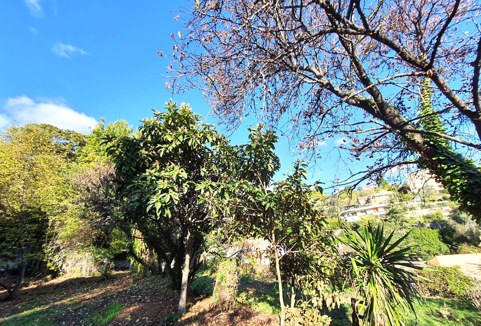 Vente Terrain à Cagnes-sur-Mer 0 pièce