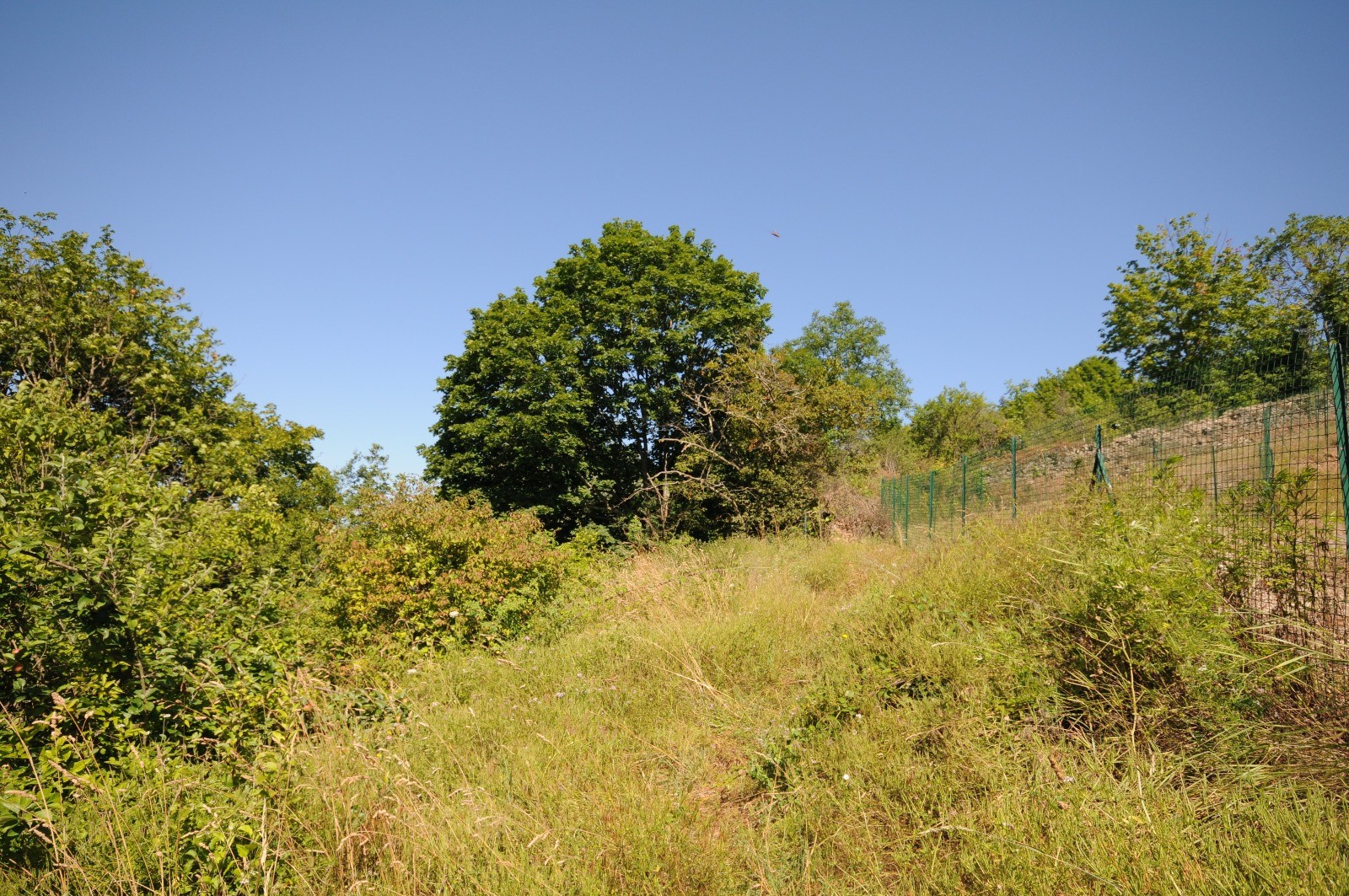 Vente Terrain à Lentilly 5 pièces