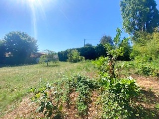 Vente Terrain à Lentilly 0 pièce