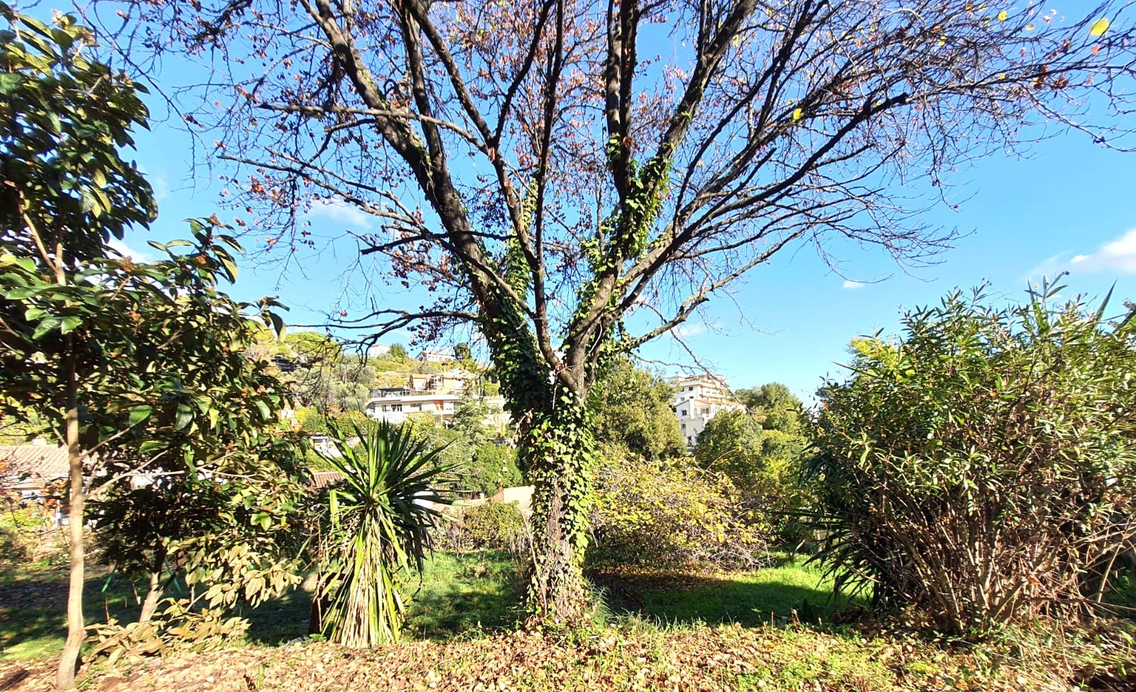 Vente Terrain à Cagnes-sur-Mer 0 pièce