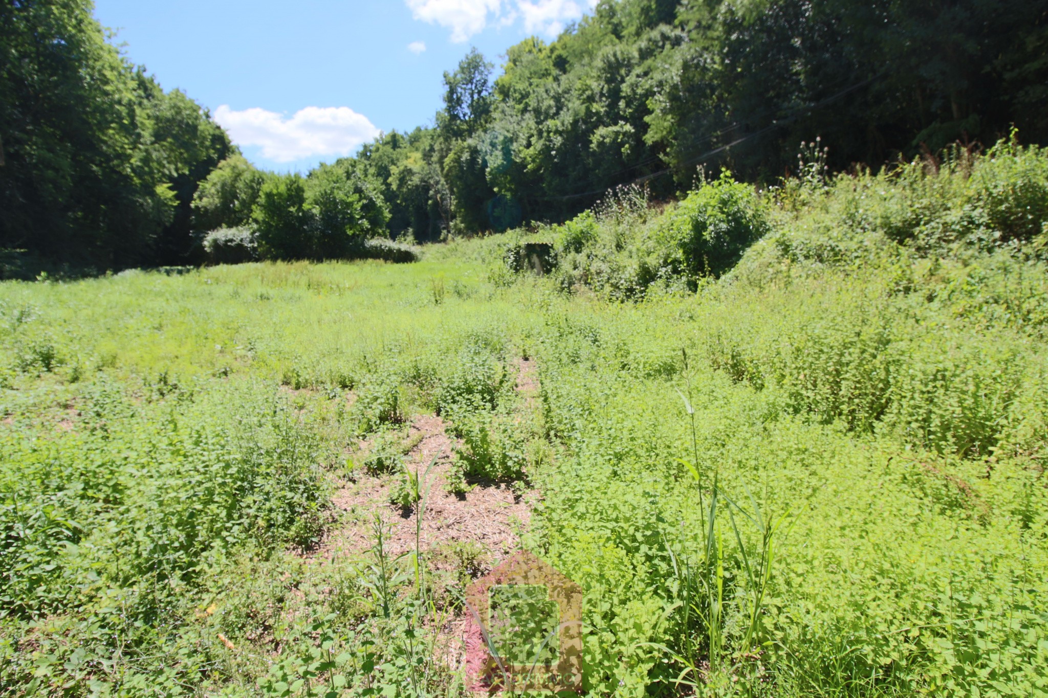 Vente Terrain à Puy-l'Évêque 0 pièce