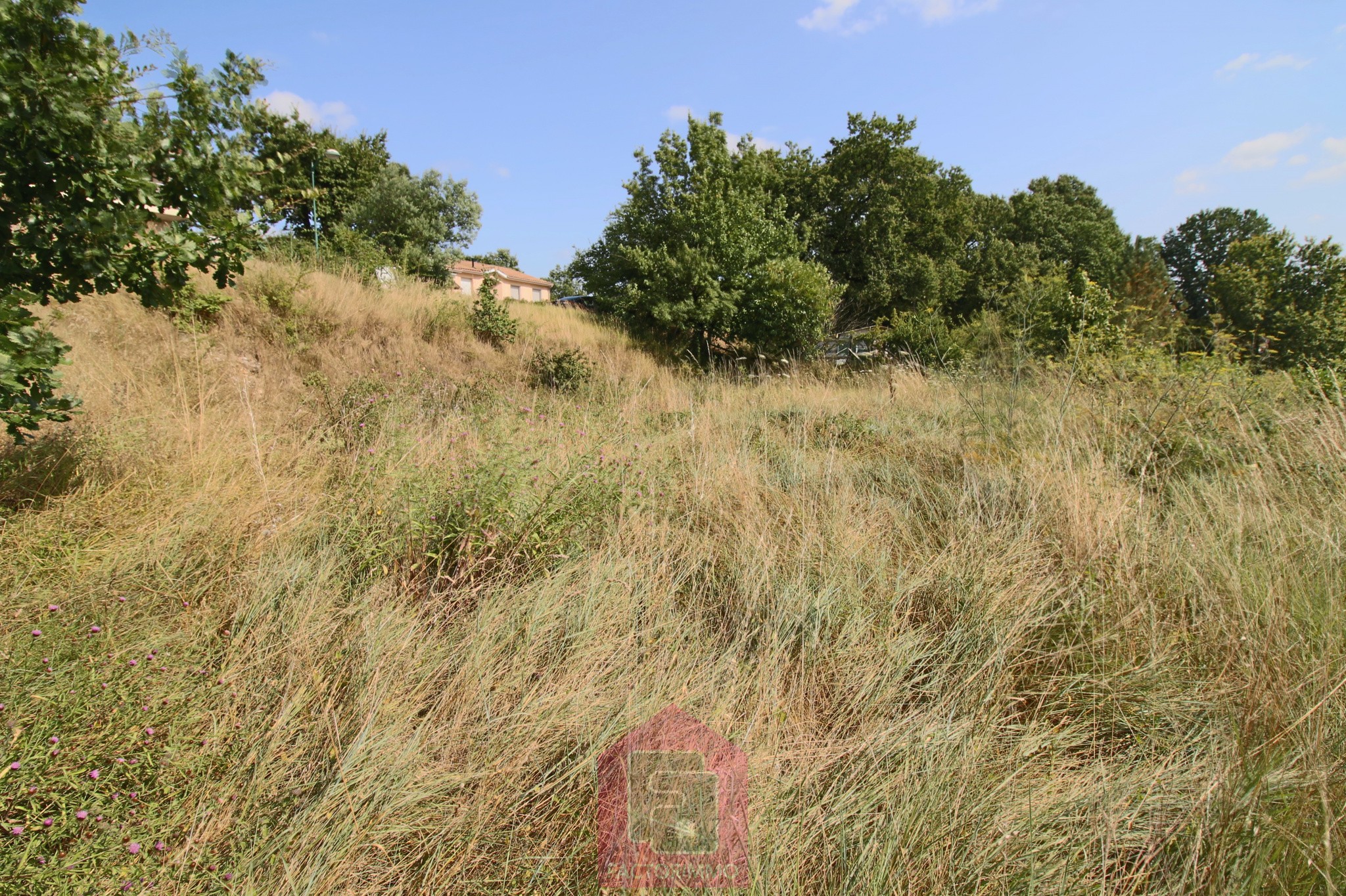 Vente Terrain à Puy-l'Évêque 0 pièce