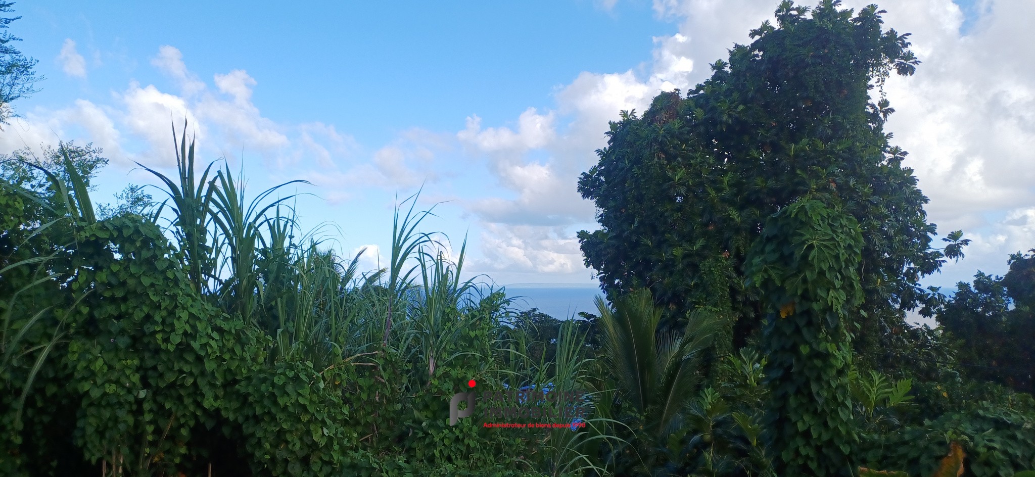 Vente Maison à Capesterre-Belle-Eau 3 pièces