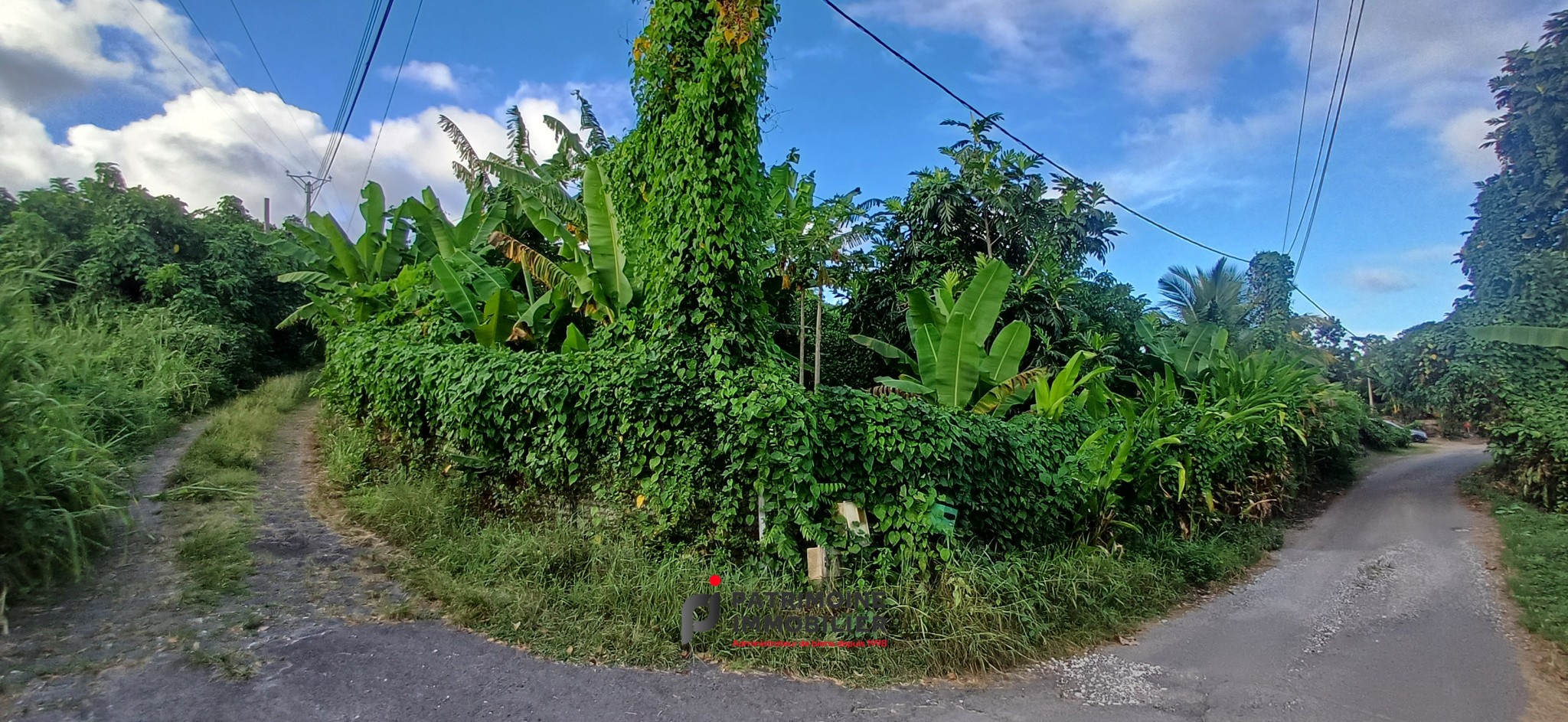 Vente Maison à Capesterre-Belle-Eau 3 pièces