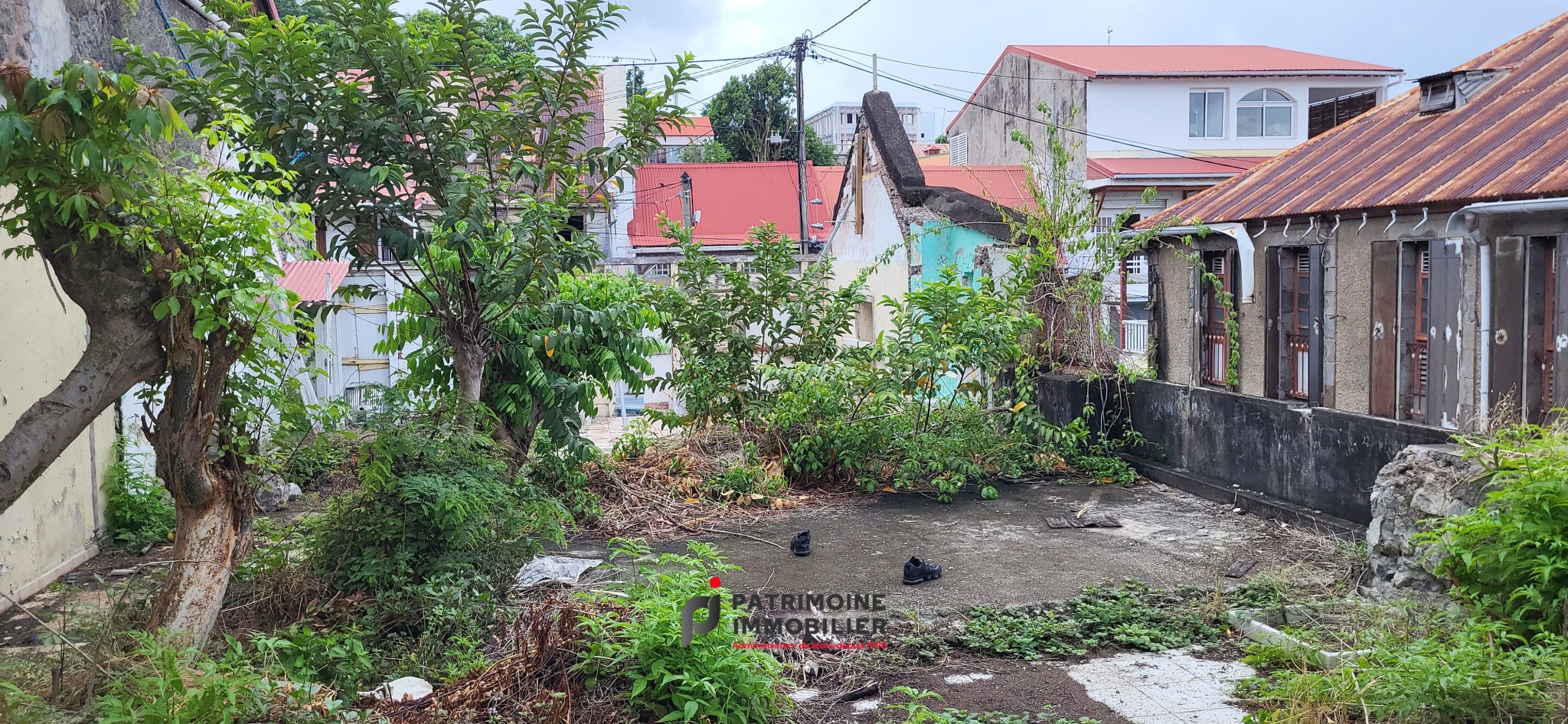 Vente Terrain à Basse-Terre 0 pièce