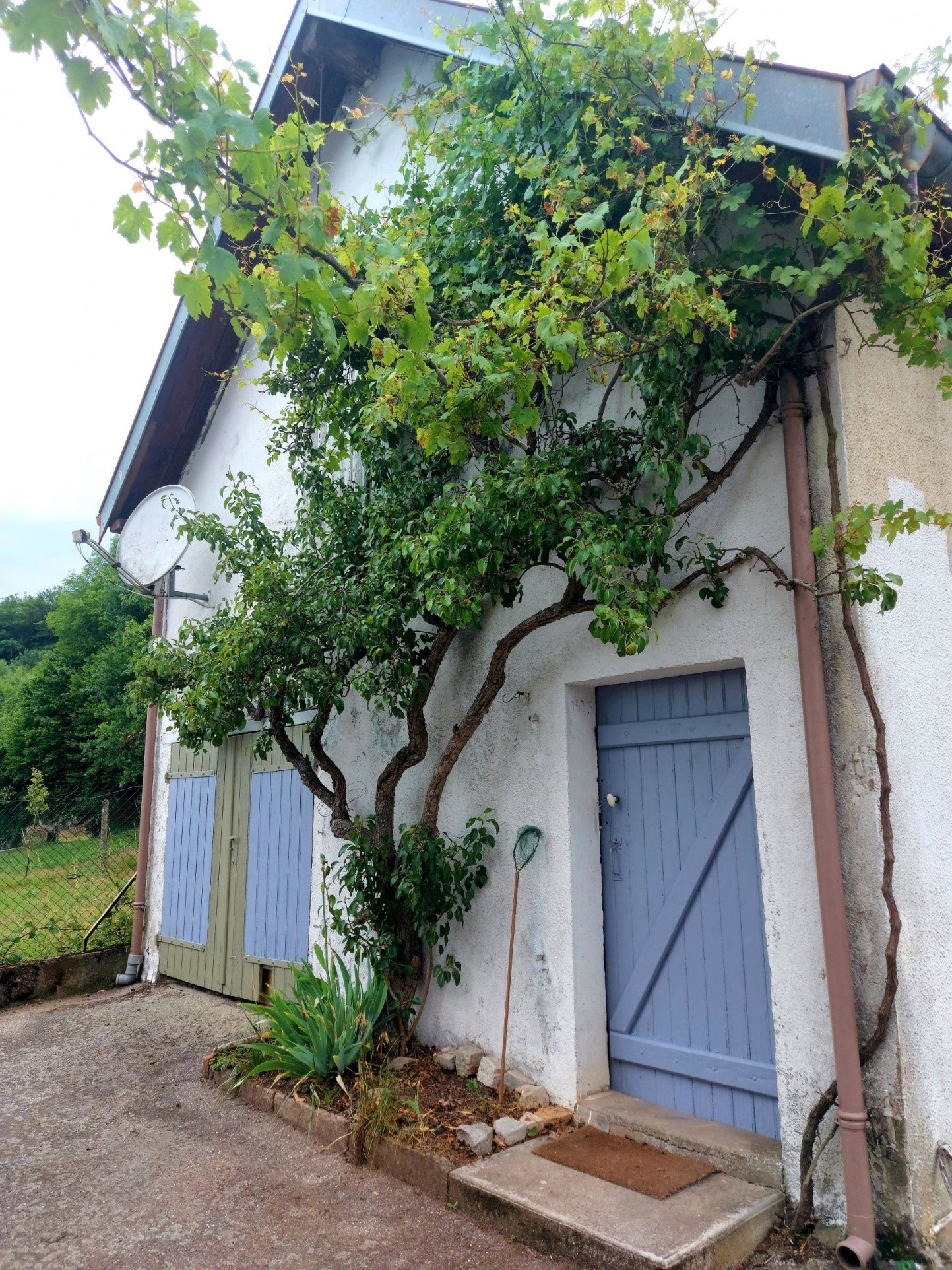 Vente Maison à Moyenmoutier 7 pièces