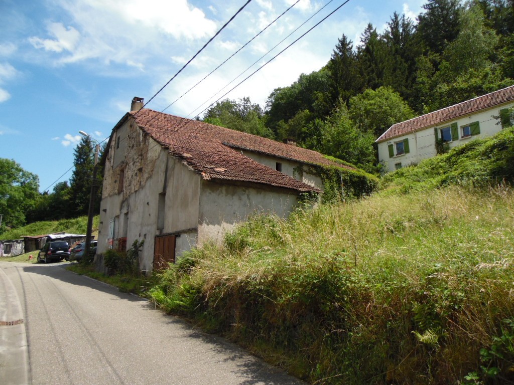 Vente Maison à Moyenmoutier 18 pièces