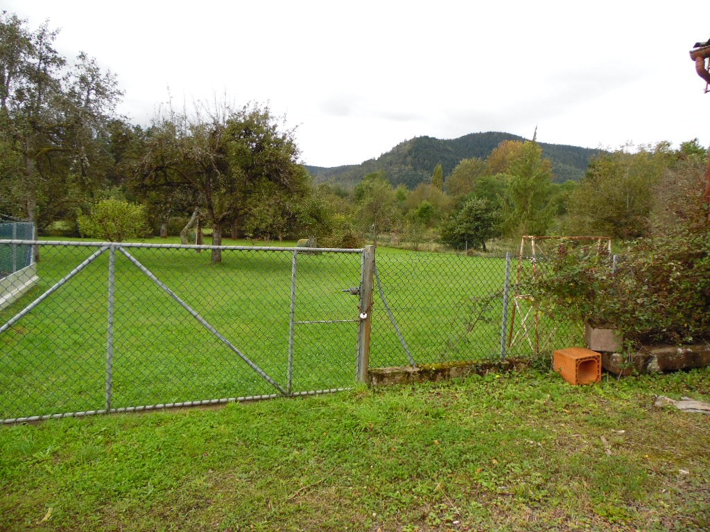 Vente Maison à Saint-Dié-des-Vosges 10 pièces