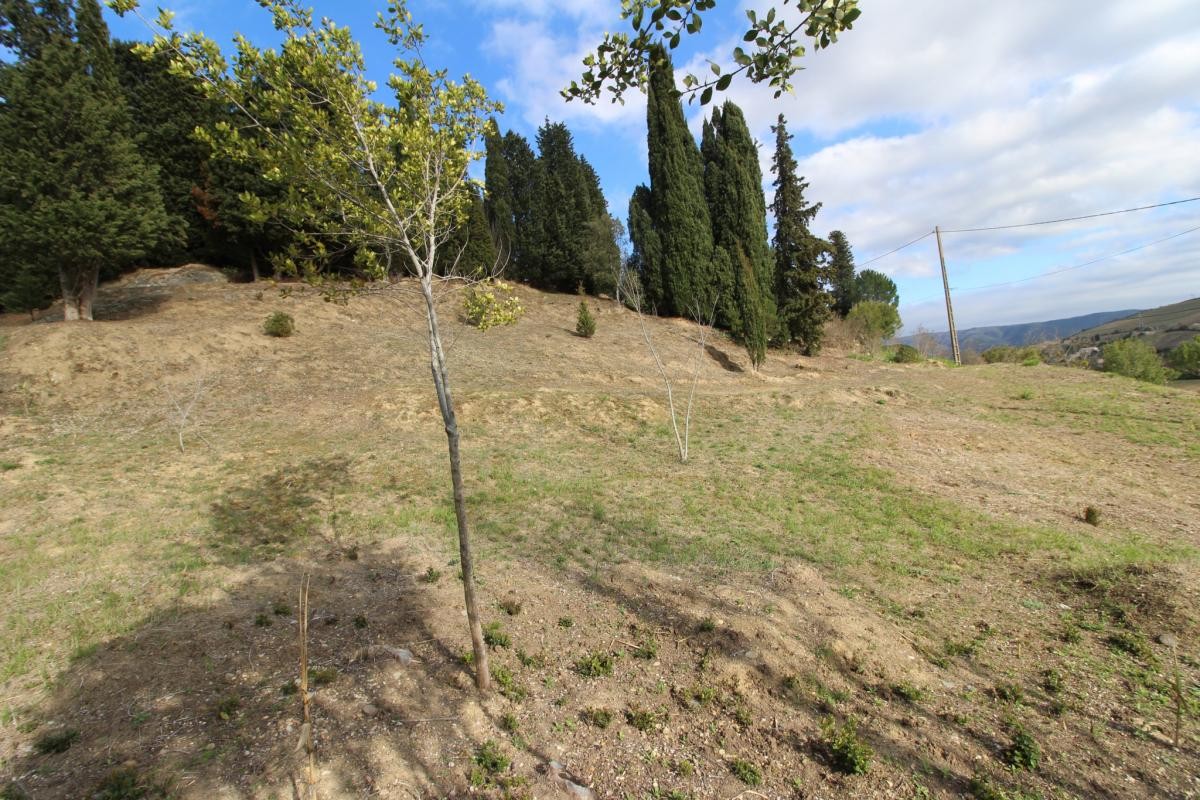 Vente Terrain à Limoux 0 pièce