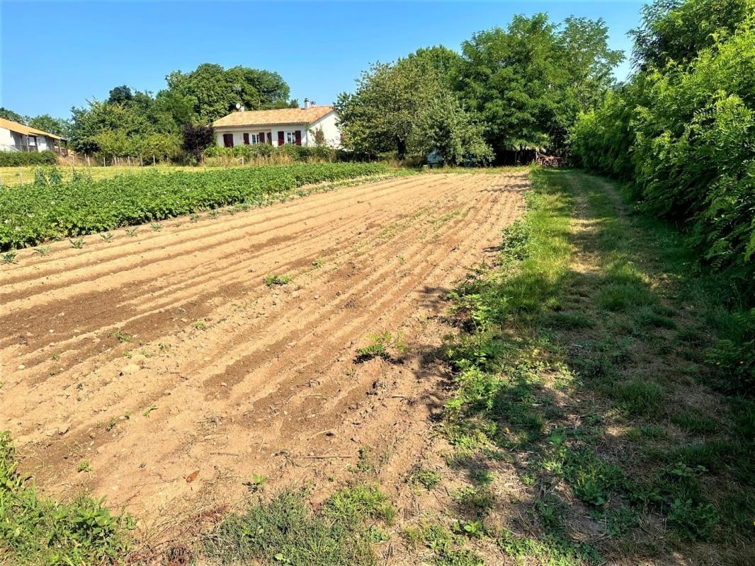 Vente Terrain à Chabanais 0 pièce