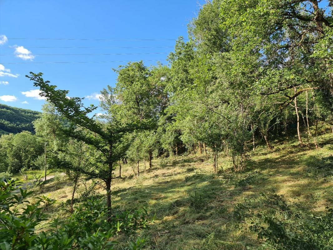 Vente Terrain à Saint-Antonin-Noble-Val 0 pièce