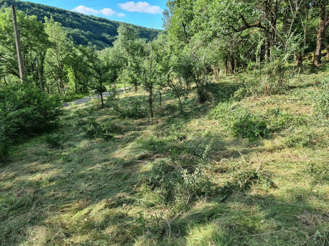 Vente Terrain à Saint-Antonin-Noble-Val 0 pièce